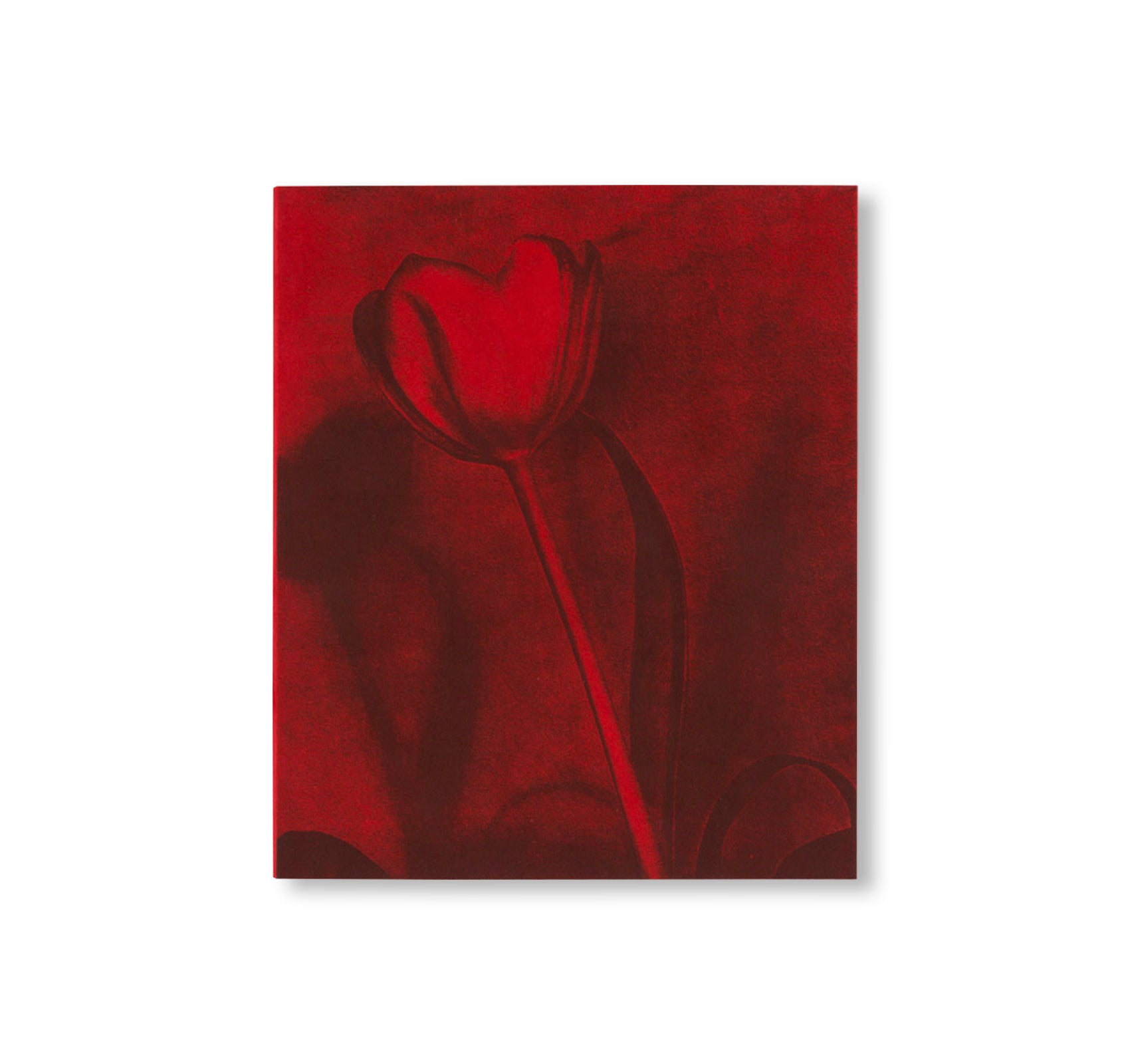 POPPY JONES by Poppy Jones