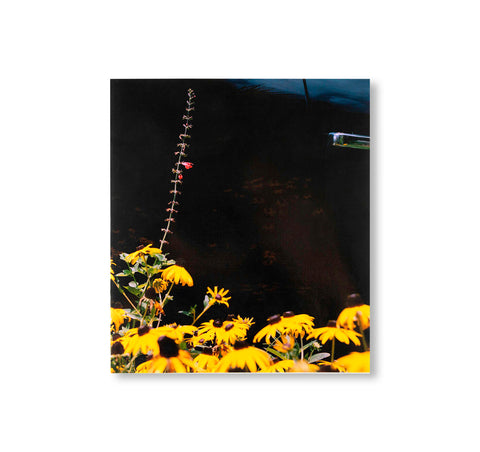 MYSTERY STREET by Vasantha Yogananthan