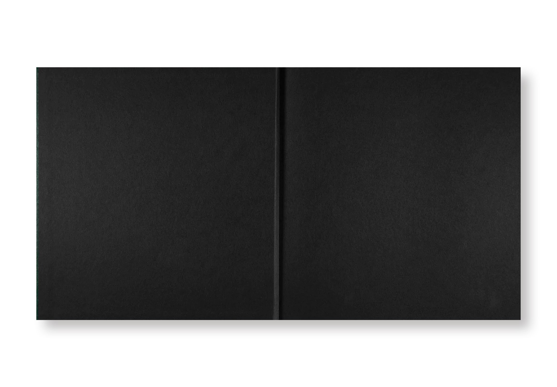 ON THE SIXTH DAY by Alessandra Sanguinetti