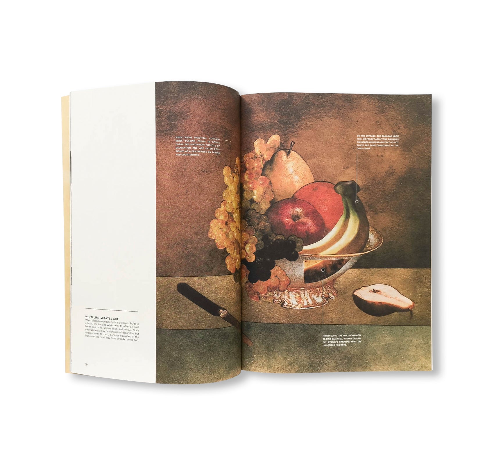 SCIENCE OF THE SECONDARY #11: BANANA