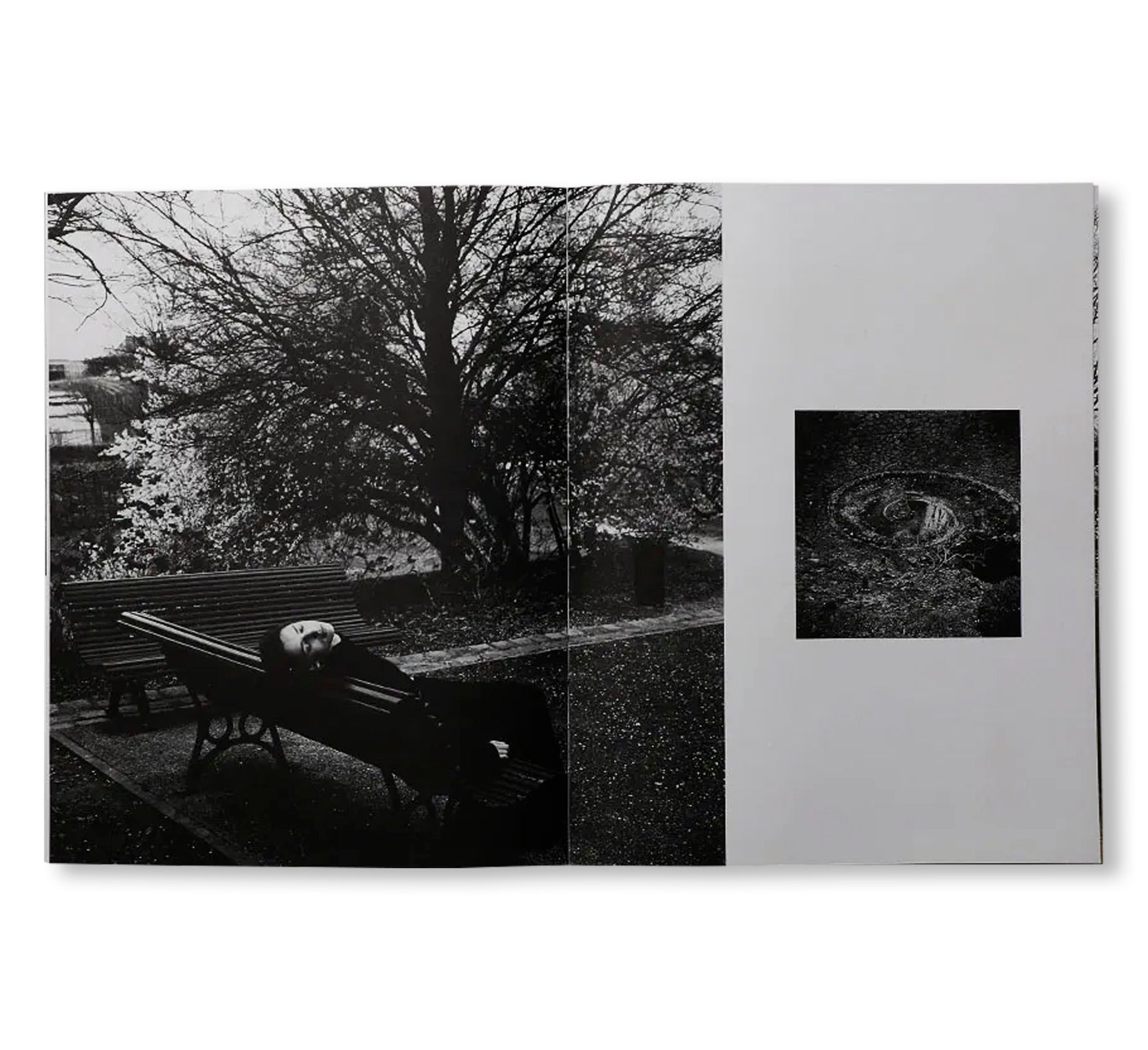 A MAGAZINE CURATED BY LUCIE AND LUKE MEIER