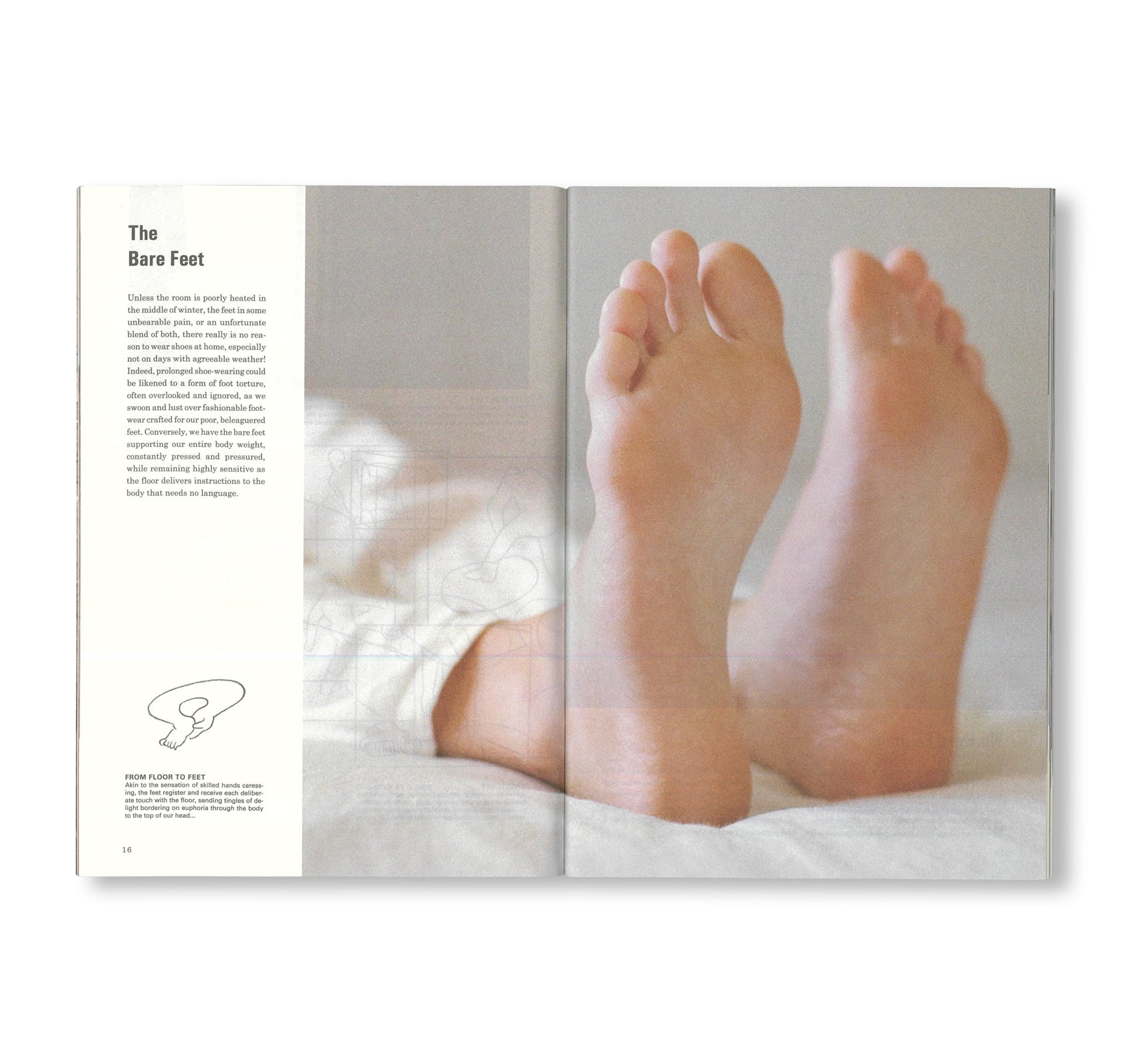 SCIENCE OF THE SECONDARY #15: FLOOR