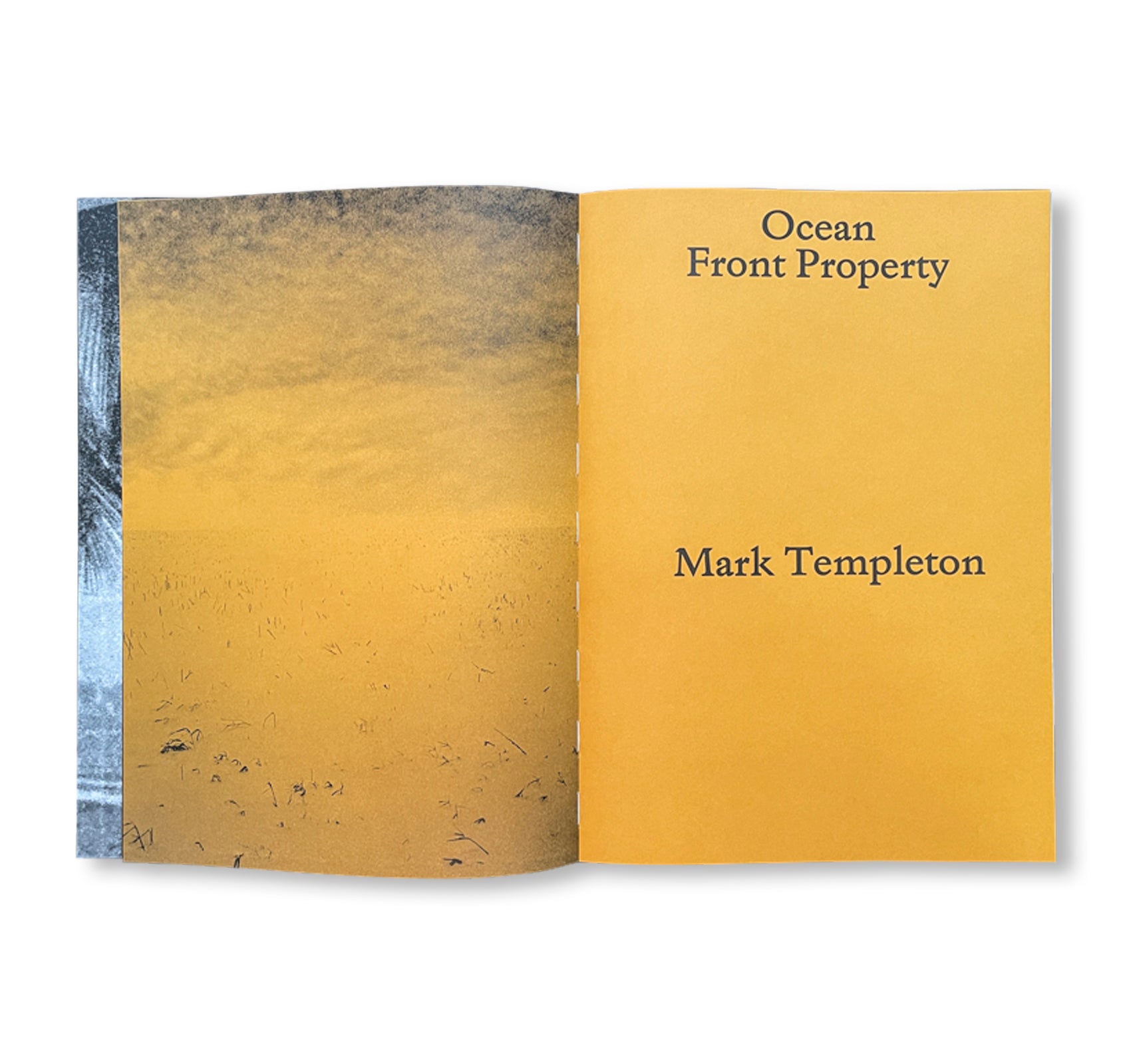 OCEAN FRONT PROPERTY by Mark Templeton