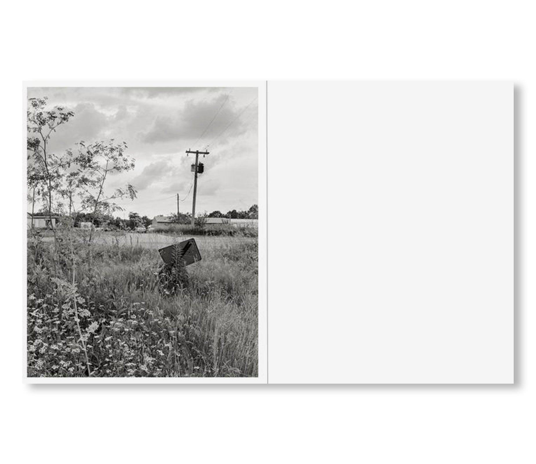 LITTLE by Tim Carpenter