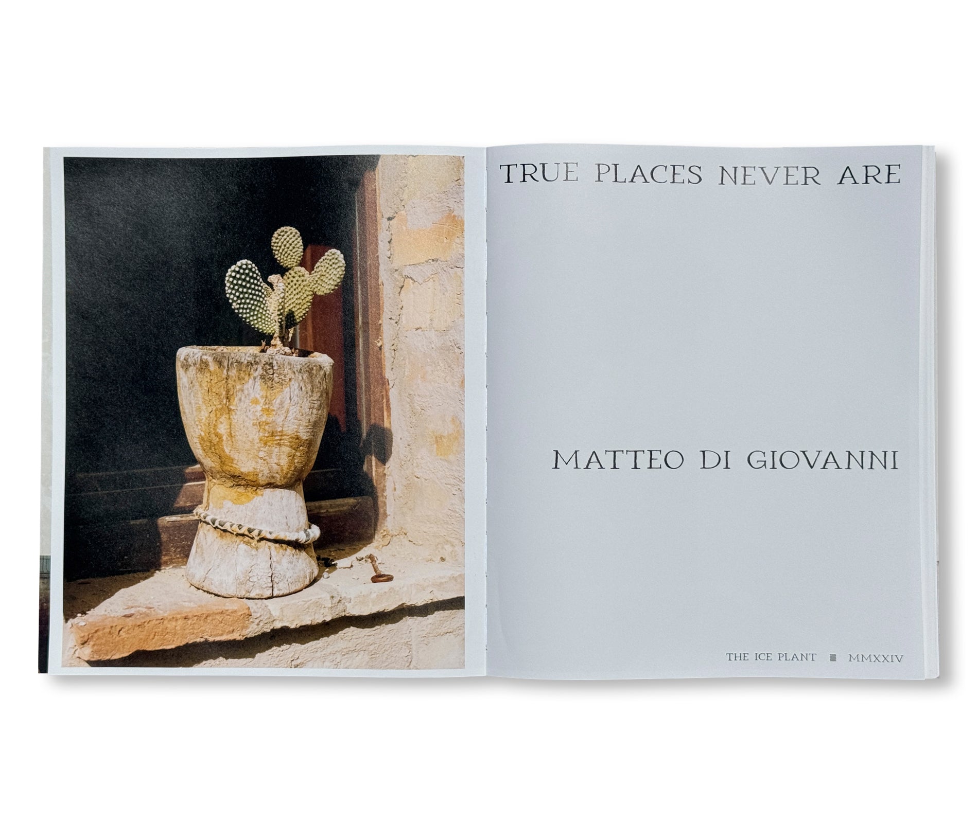 TRUE PLACES NEVER ARE by Matteo Di Giovanni