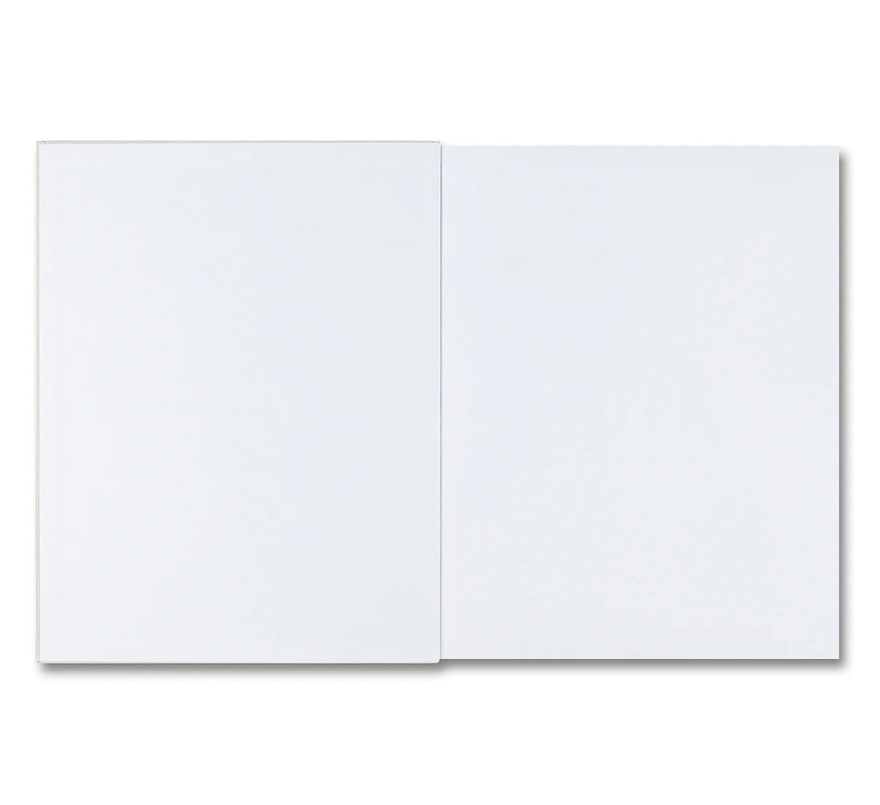 COSMOS by Collier Schorr