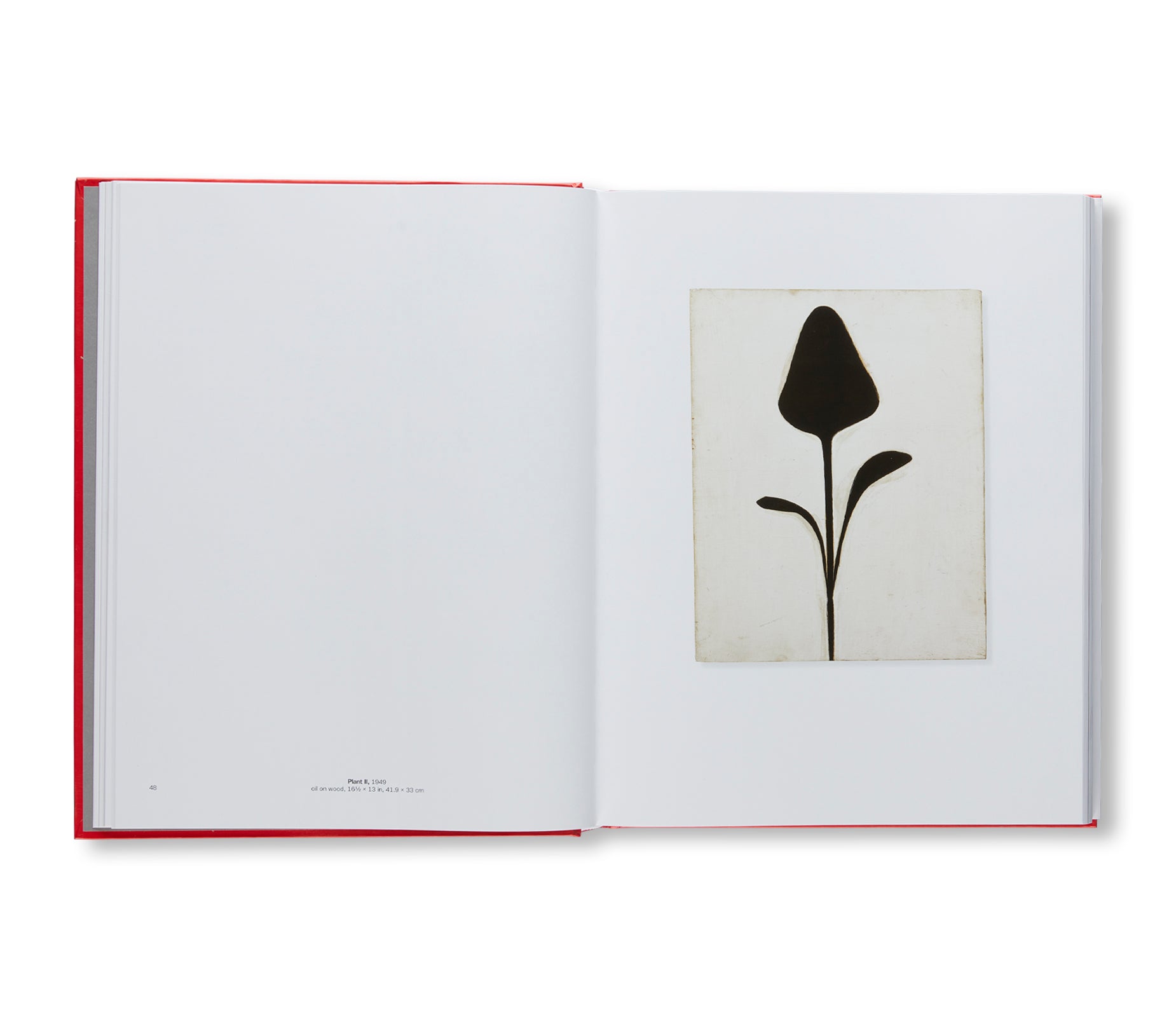 ELLSWORTH KELLY (2018) by Ellsworth Kelly