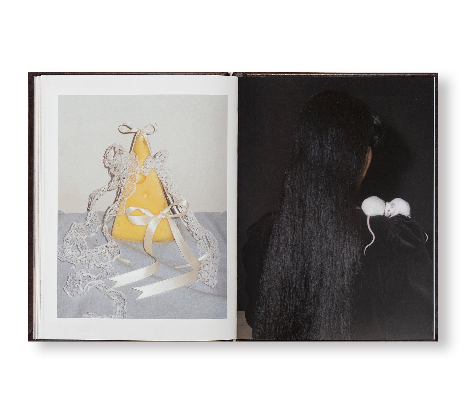 A MOUSE IN HER HOUSE by Lina Sun Park