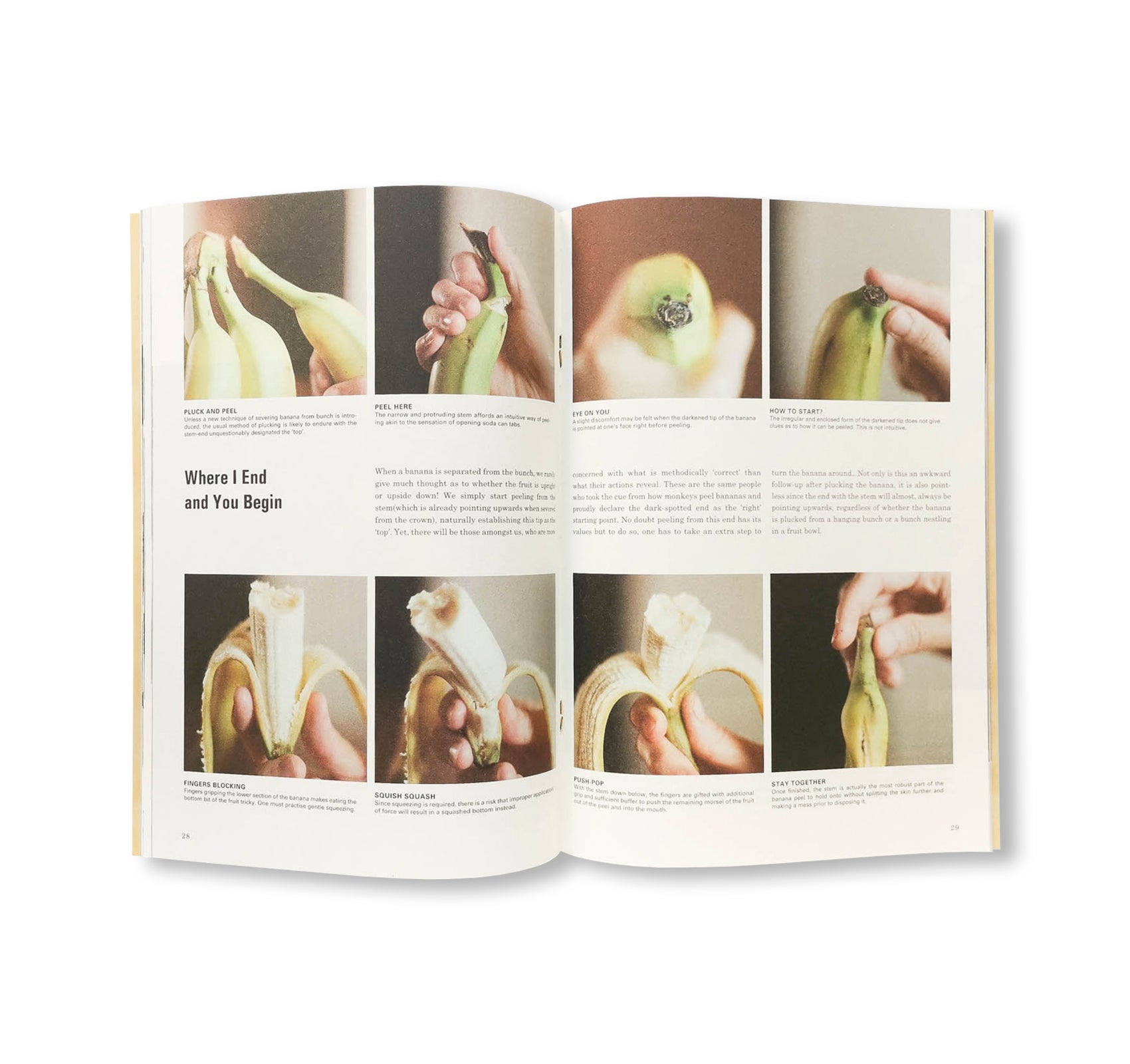 SCIENCE OF THE SECONDARY #11: BANANA