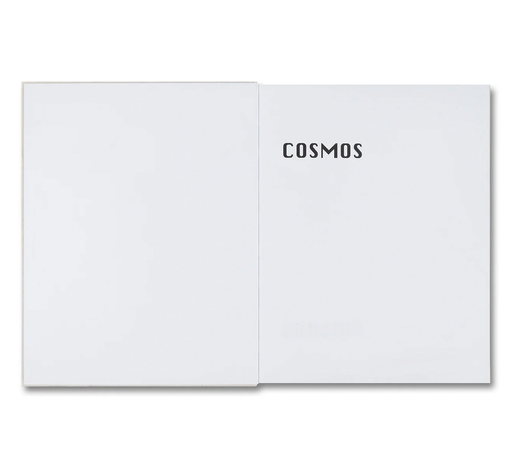 COSMOS by Collier Schorr