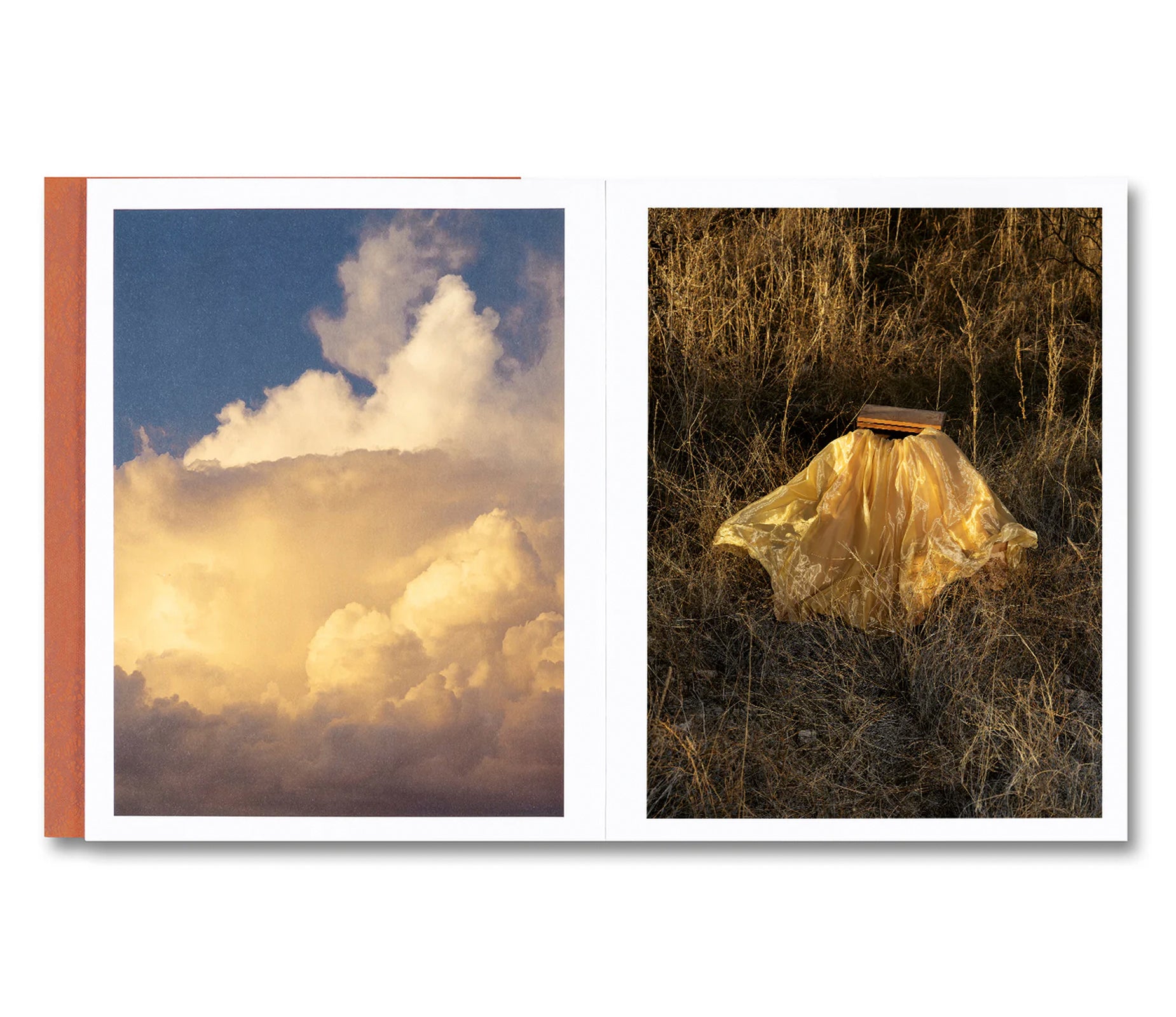 I’LL LET YOU BE IN MY DREAMS IF I CAN BE IN YOURS by Carolyn Drake, Andres Gonzalez