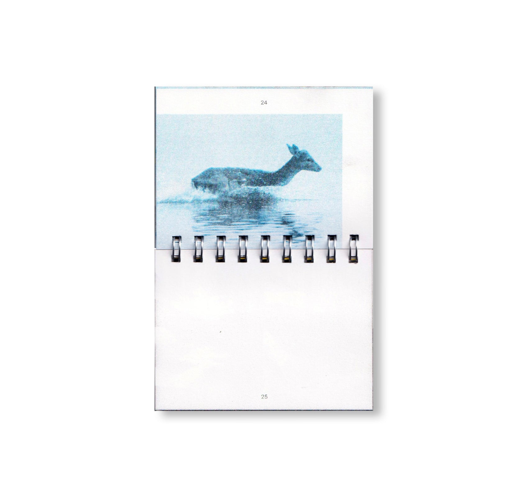 MANIFIESTO ANTITÉTICO by Gonzalo Golpe, Marina Meyer