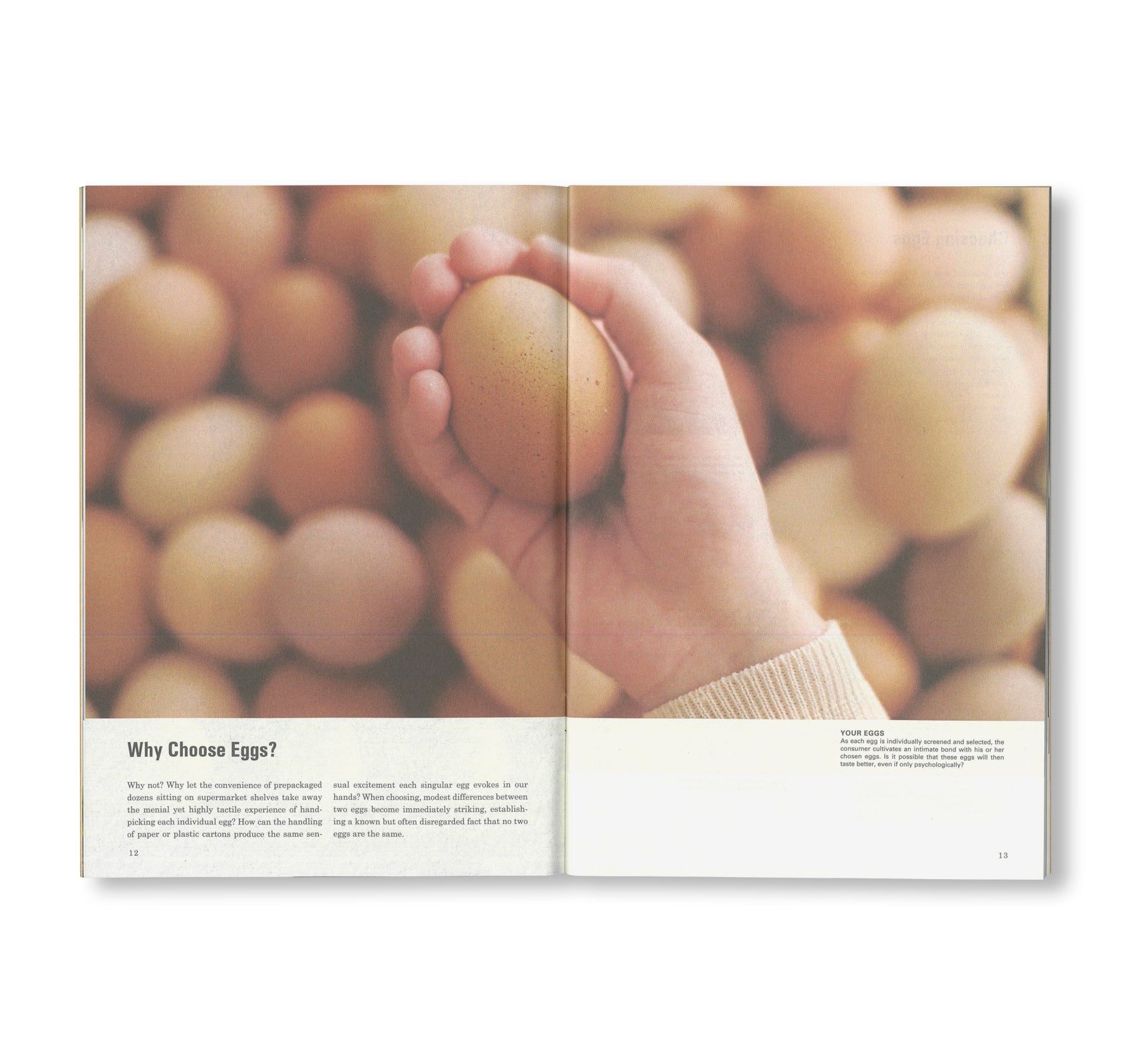 SCIENCE OF THE SECONDARY #07: EGG