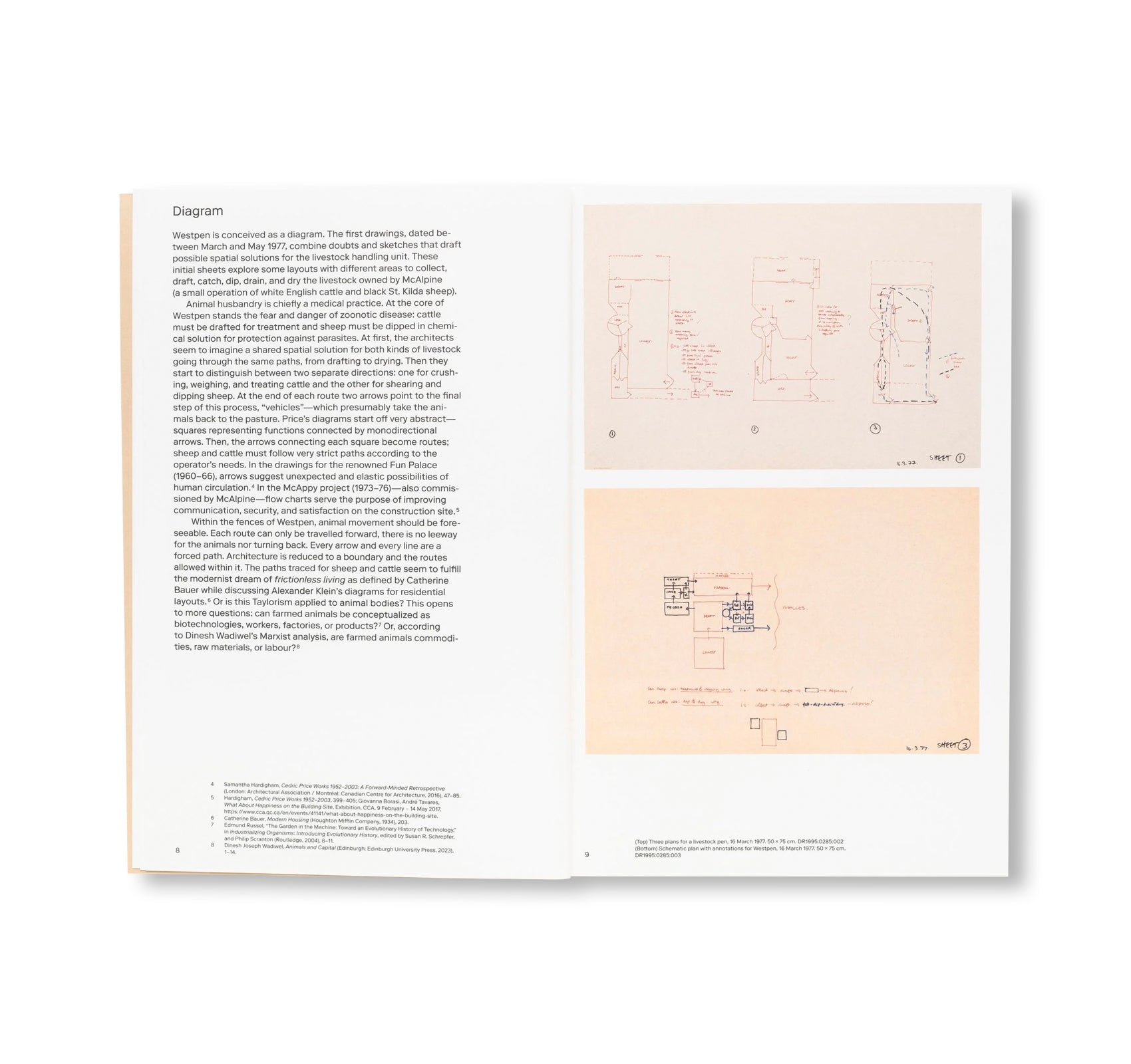 IS THERE A KNOWN OPTIMUM GATE SIZE FOR THE DUAL CONTROL OF CATTLE AND SHEEP? by Sofia Nannini