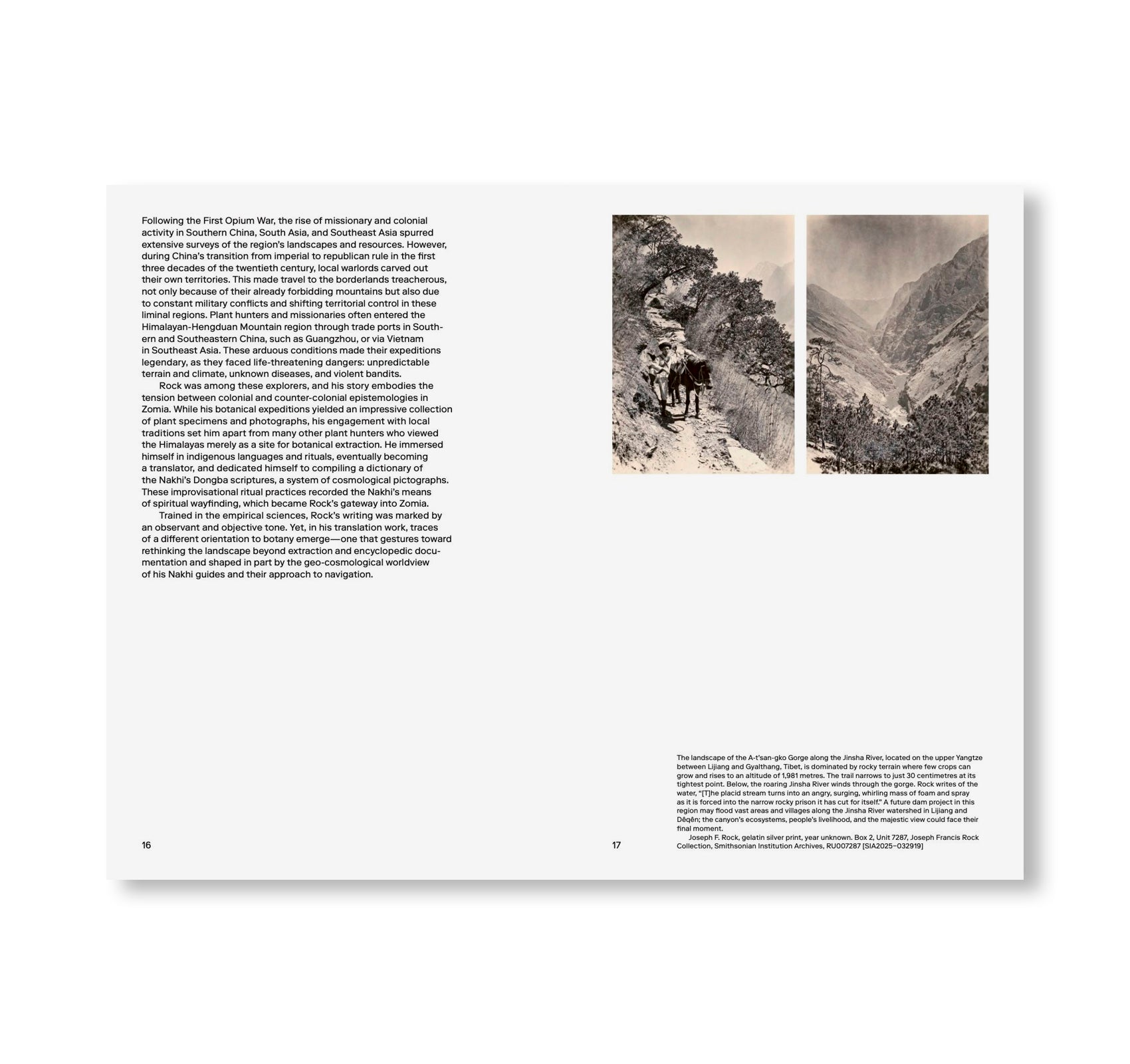 ZOMIA GARDEN by Yutong Lin