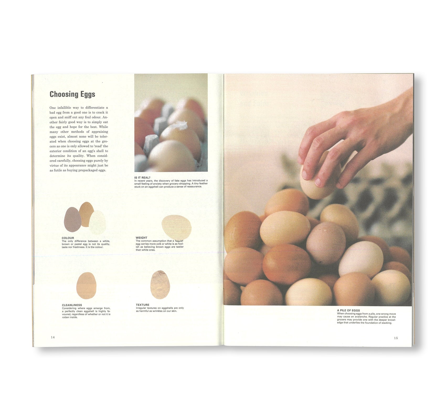 SCIENCE OF THE SECONDARY #07: EGG