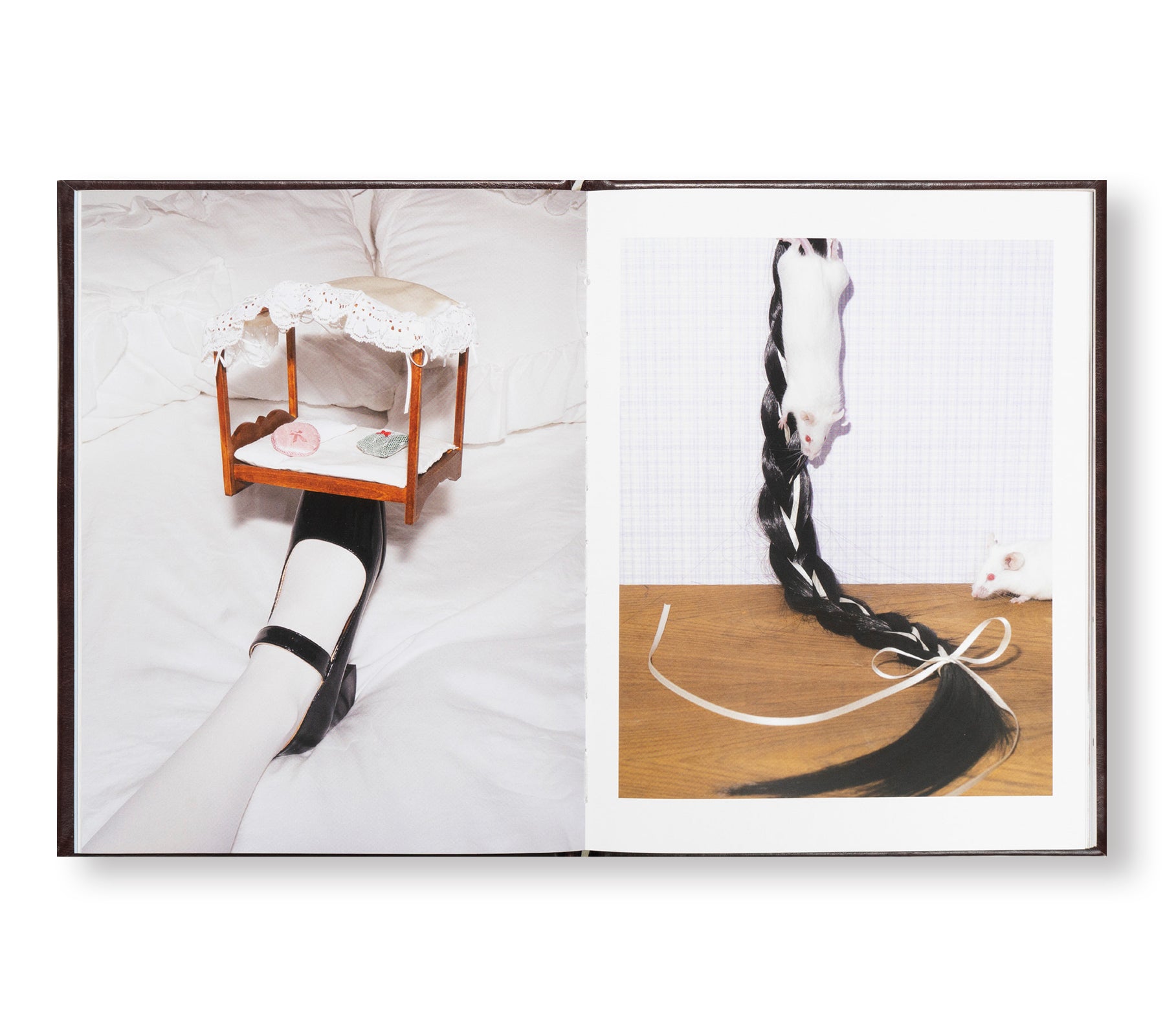 A MOUSE IN HER HOUSE by Lina Sun Park