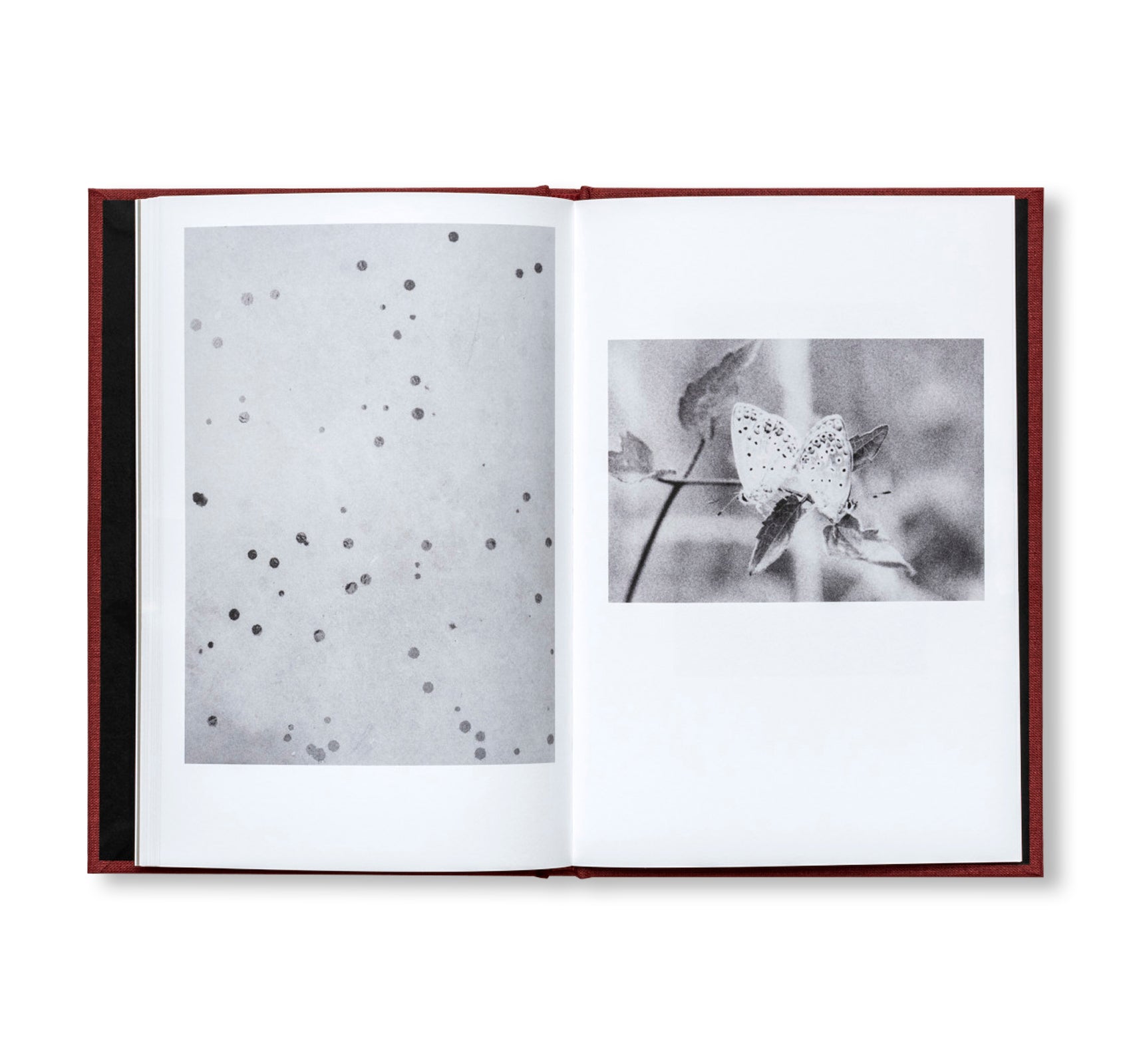 MUT 2 | TWO POEMS, SEVEN PAIRS by Jochen Lempert