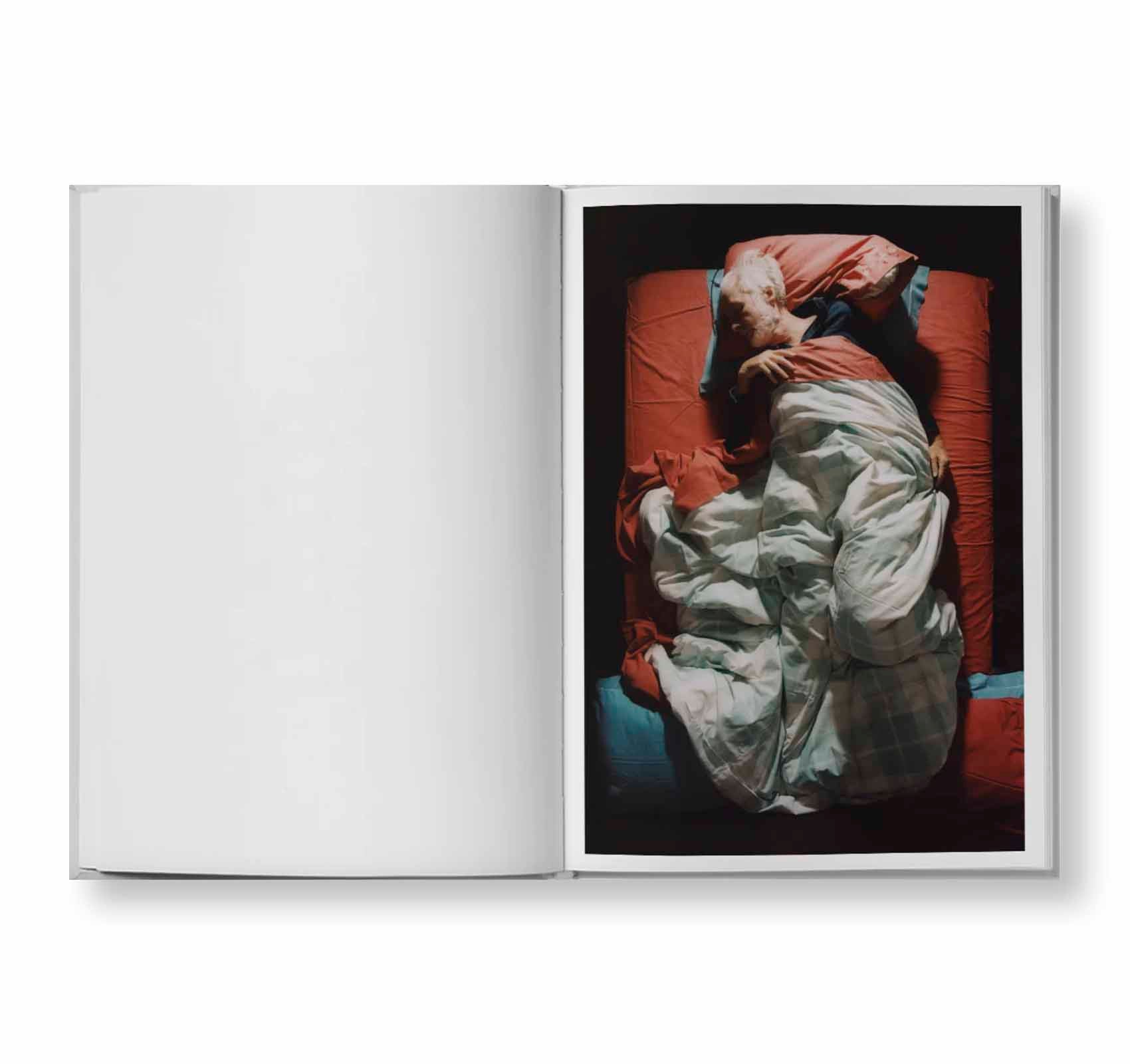 LIKE SOMEONE ALIVE by Dorothea Sing Zhang