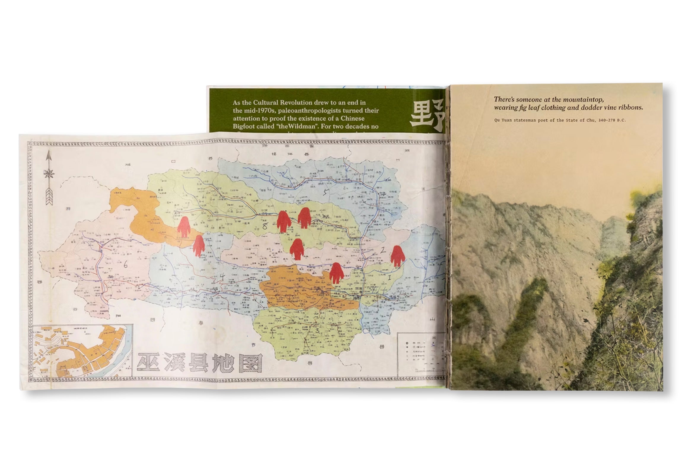 WILDMAN FEVER! by Ruben Lundgren