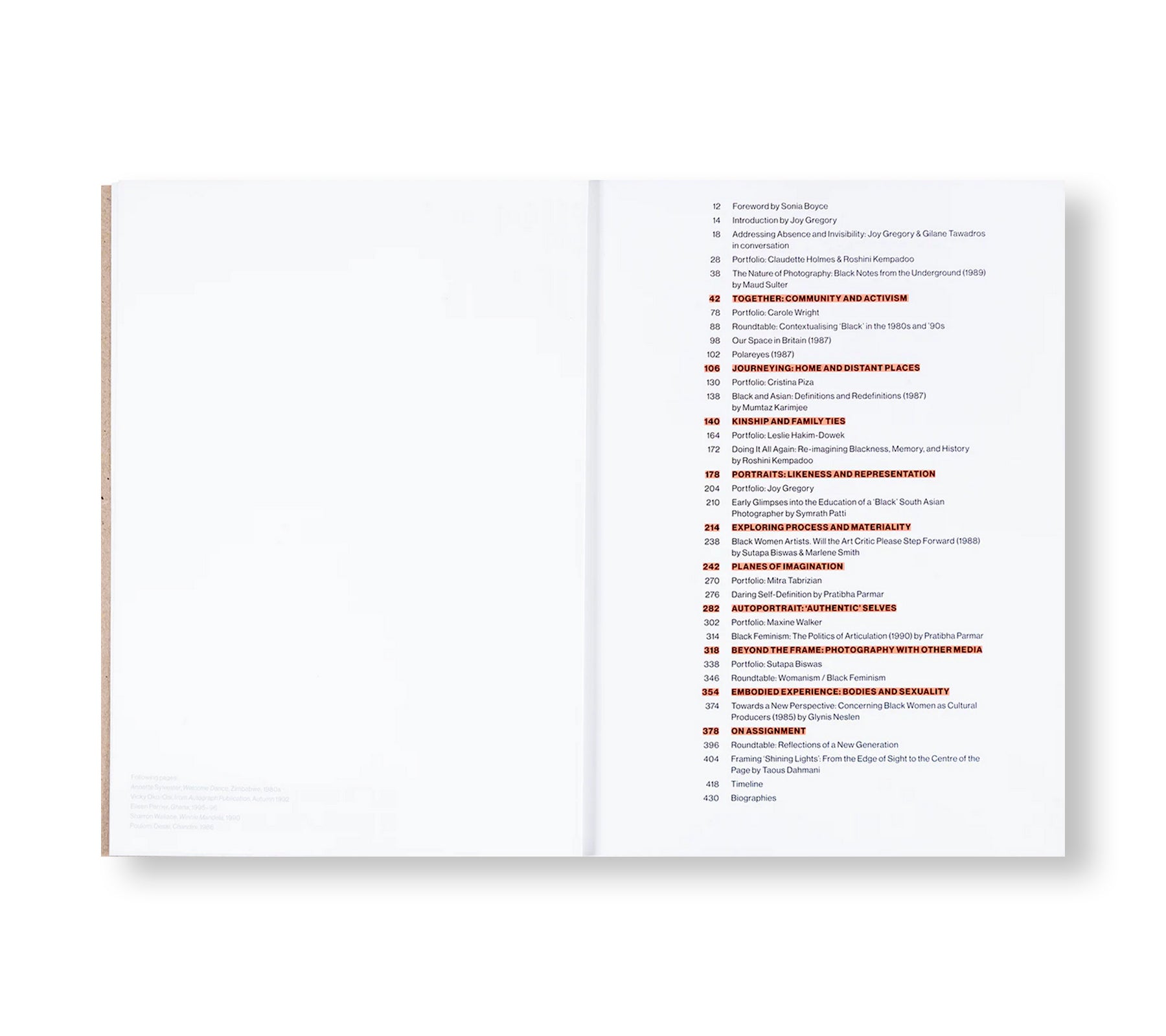 SHINING LIGHTS: BLACK WOMEN PHOTOGRAPHERS IN 1980S–90S BRITAIN by Joy Gregory