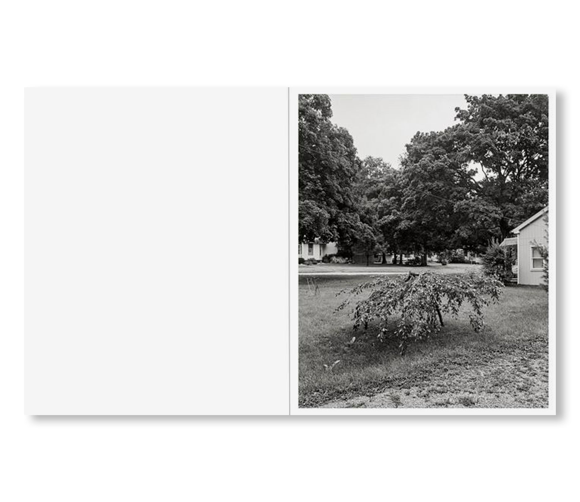 LITTLE by Tim Carpenter