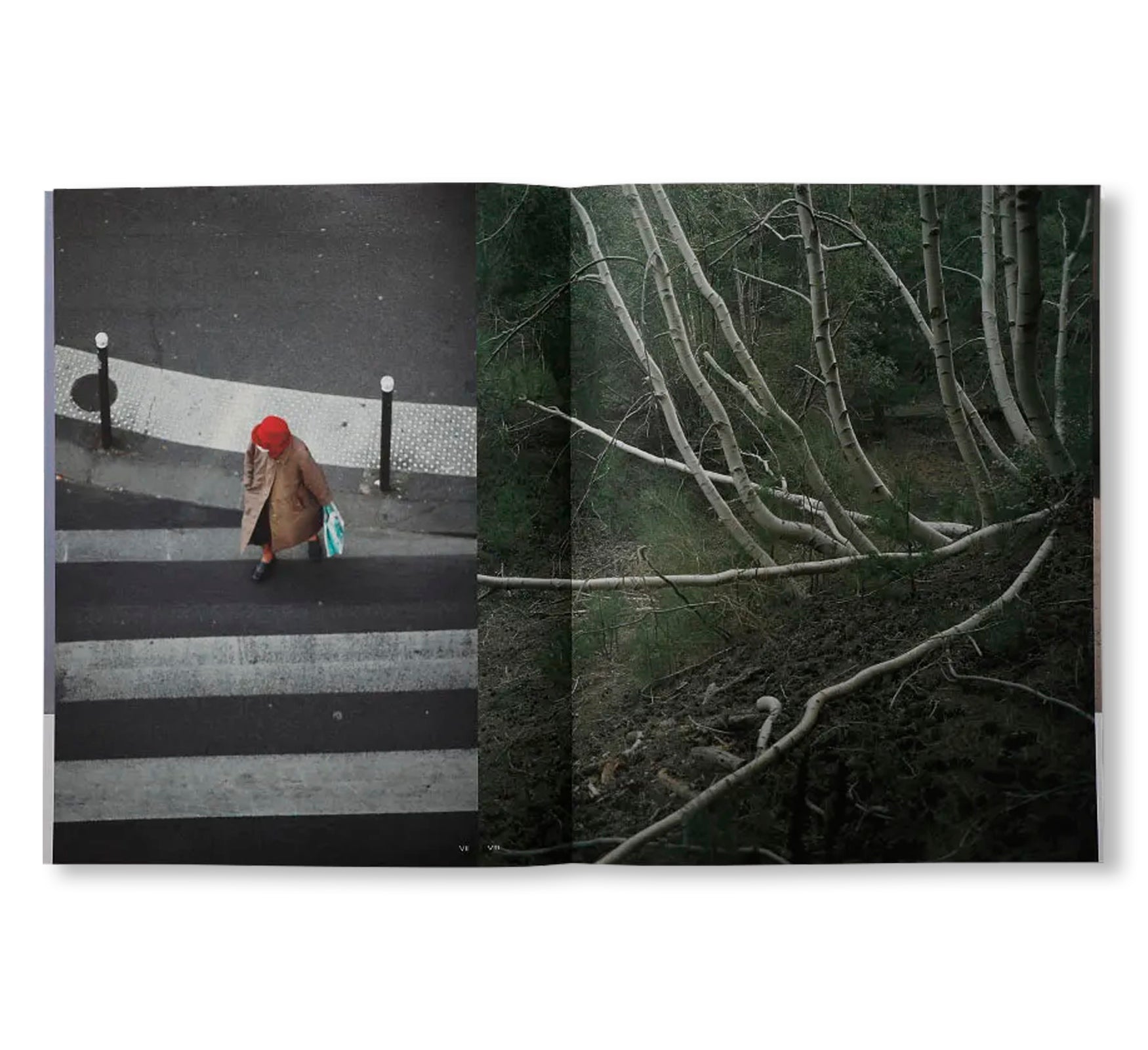 A MAGAZINE CURATED BY LUCIE AND LUKE MEIER