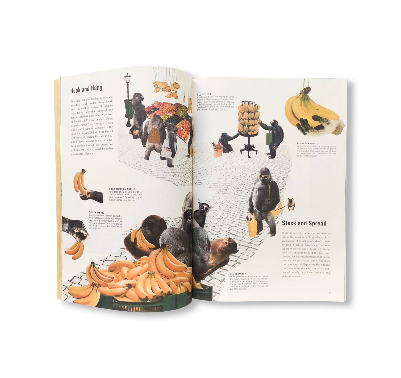 SCIENCE OF THE SECONDARY #11: BANANA