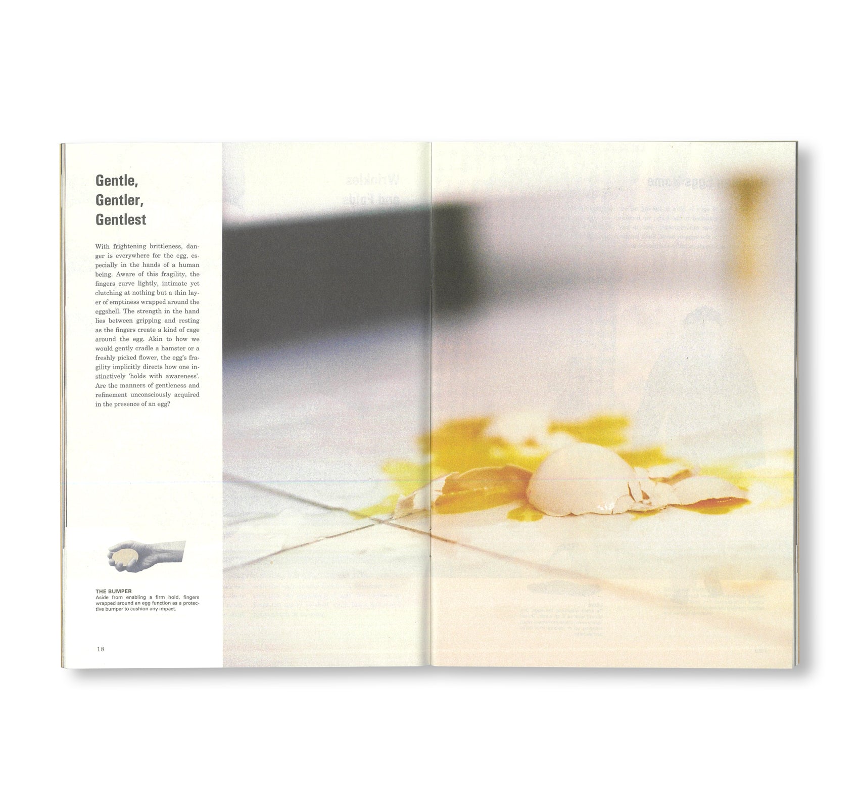 SCIENCE OF THE SECONDARY #07: EGG