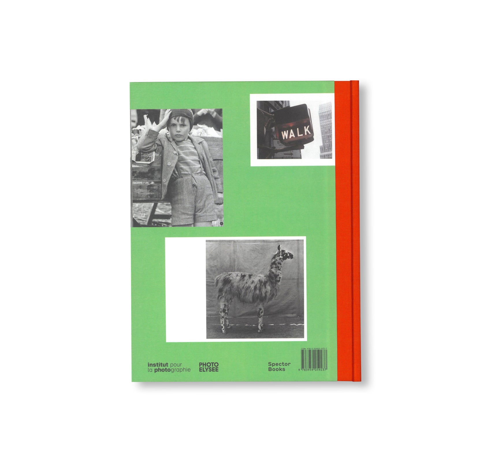 L IS FOR LOOK - CHILDREN’S PHOTOBOOKS