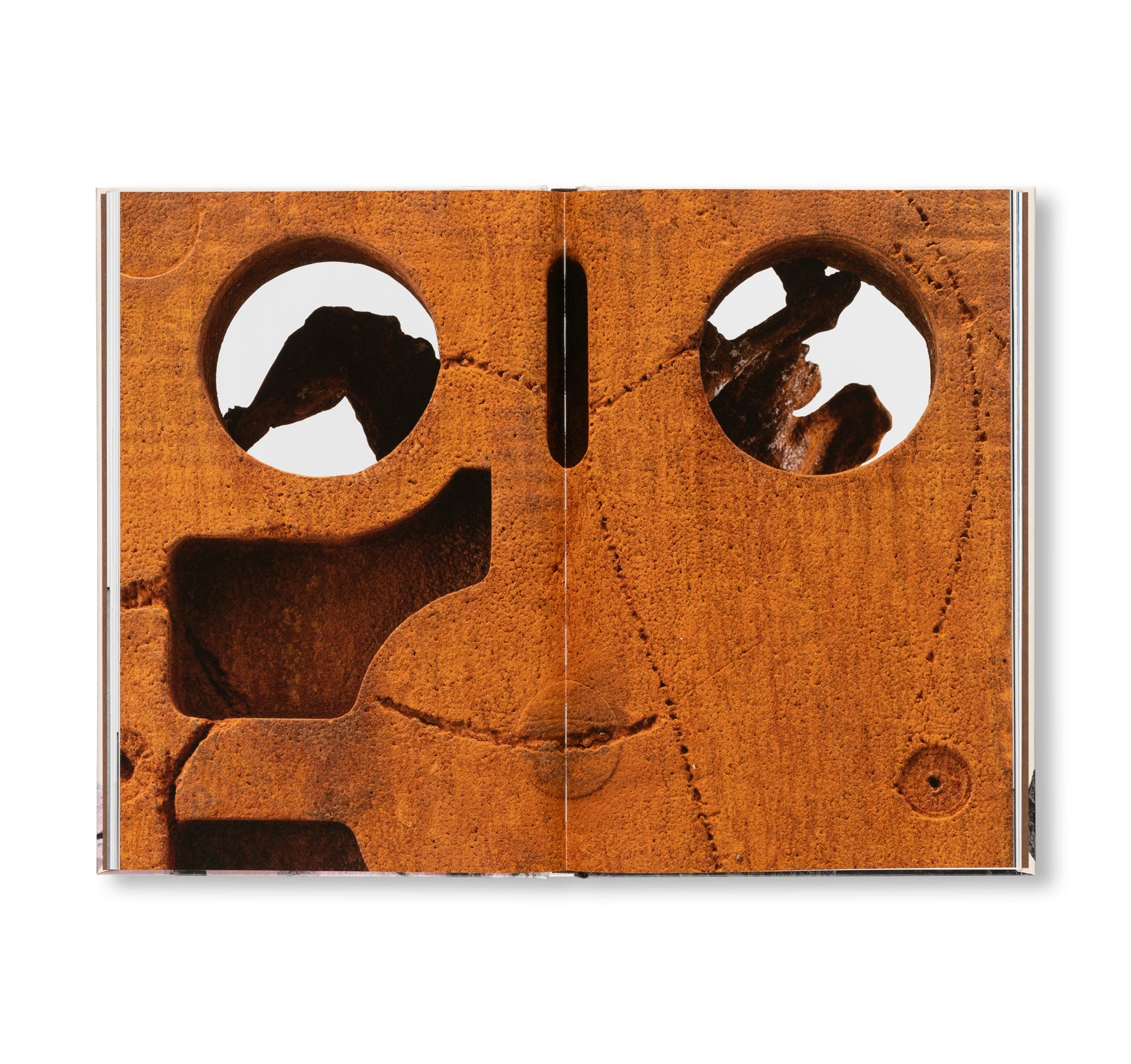 WELCOME . . . TO THE ONE WHO CAME by Huma Bhabha