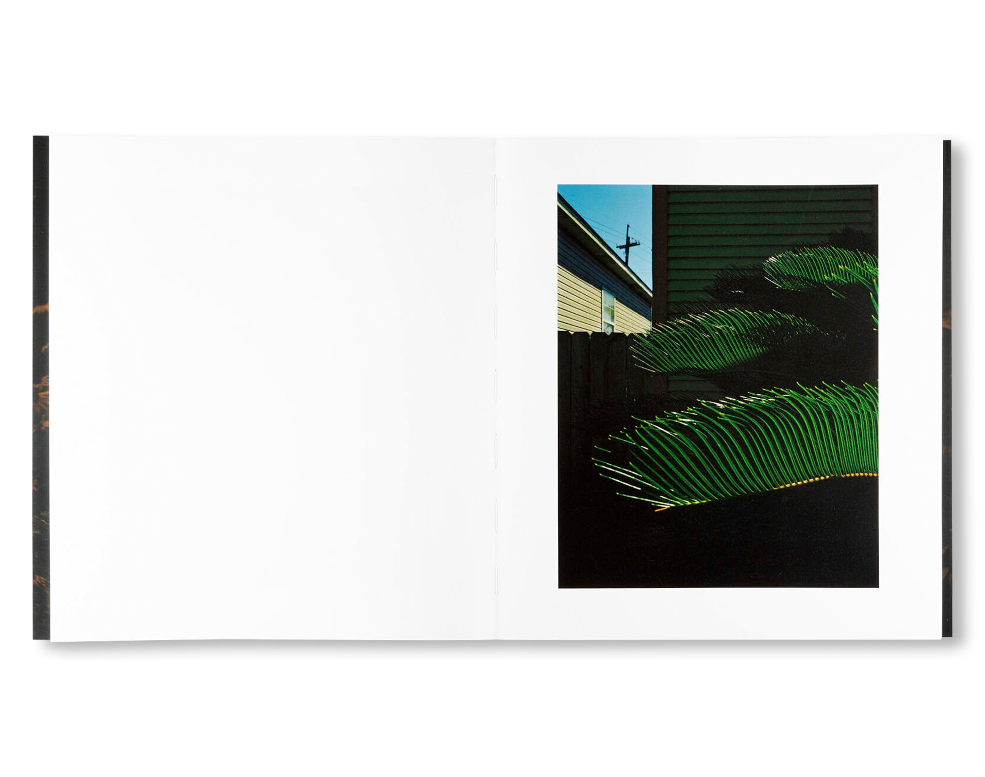 MYSTERY STREET by Vasantha Yogananthan