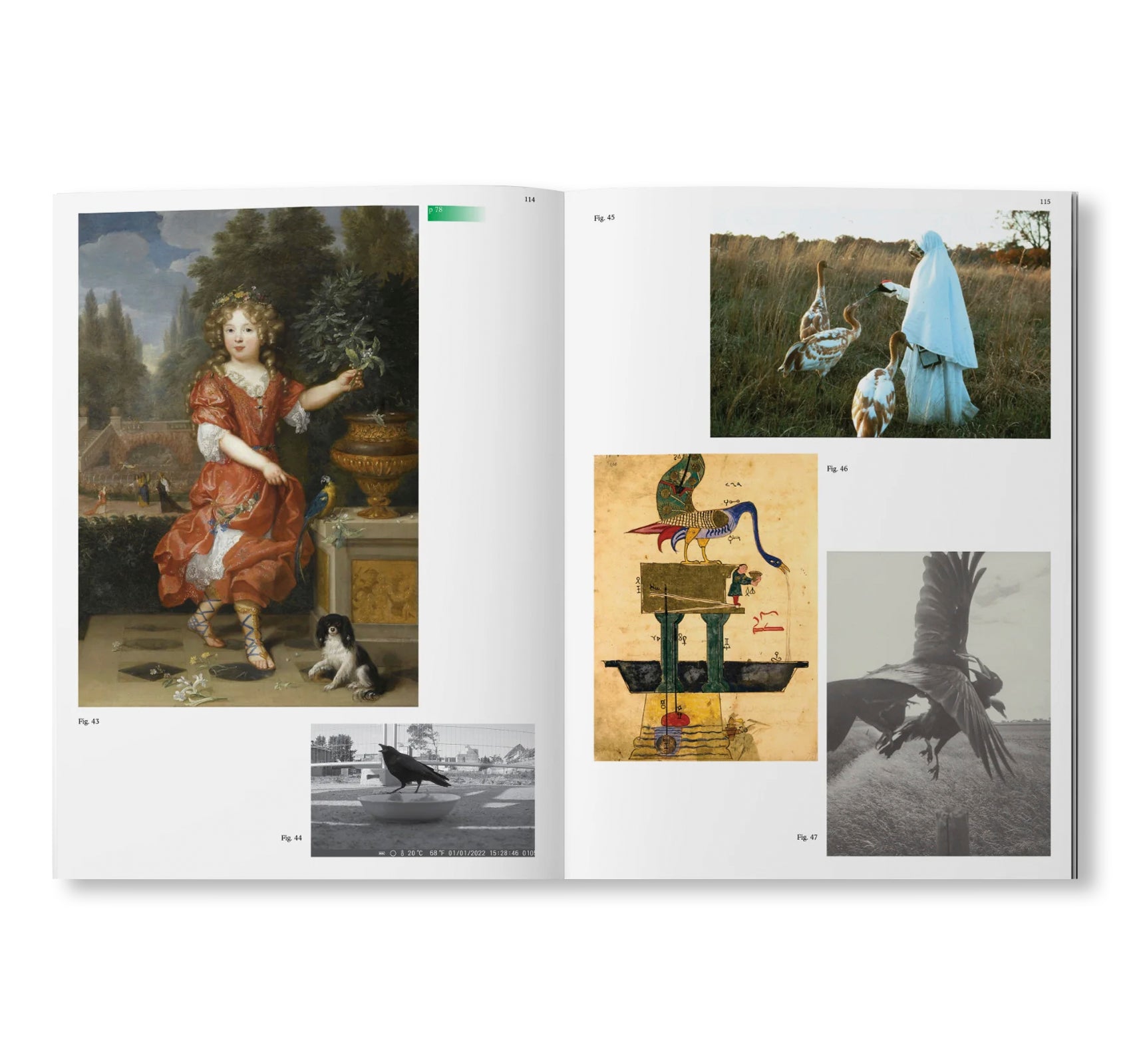 DECENTERING DESIGN — PRACTICE IN A MORE-THAN- HUMAN WORLD