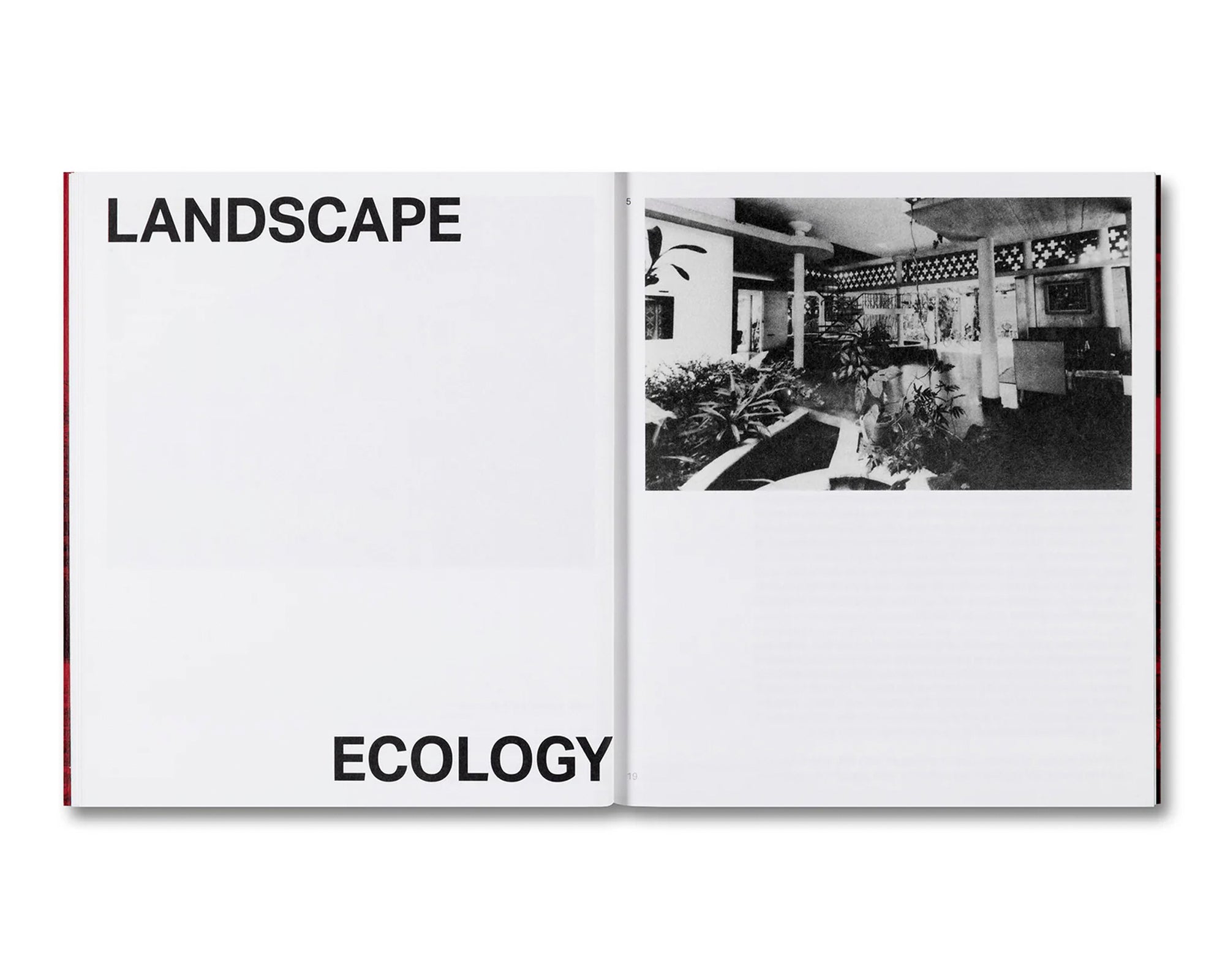 MINNETTE DE SILVA: INTERSECTIONS by Anooradha Iyer Siddiqi