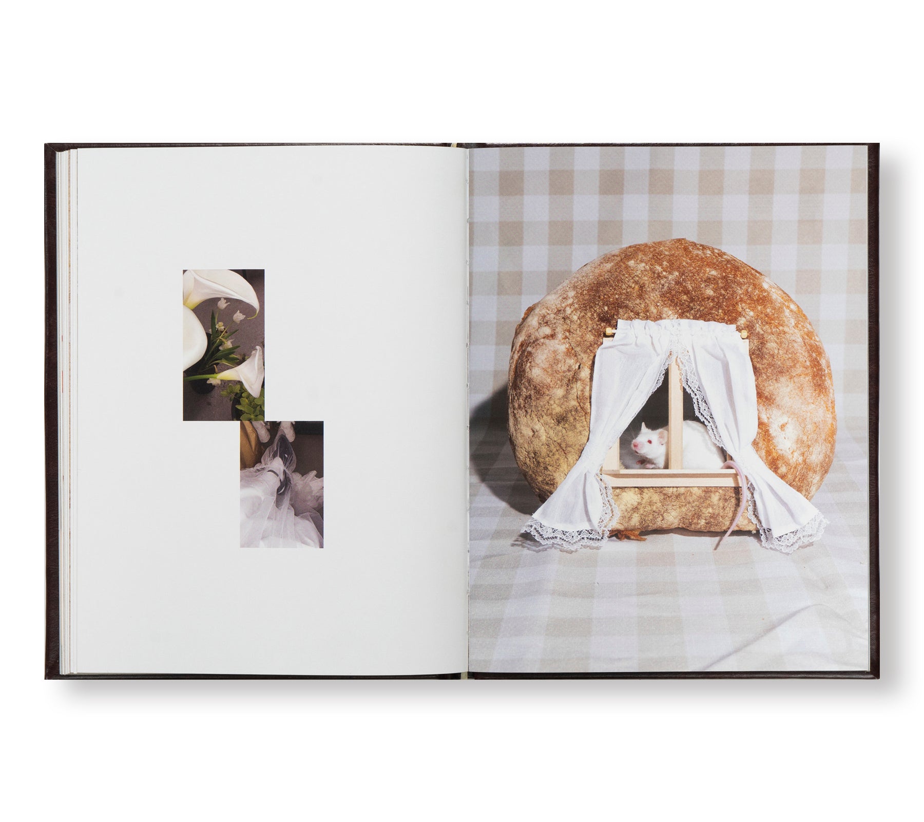 A MOUSE IN HER HOUSE by Lina Sun Park