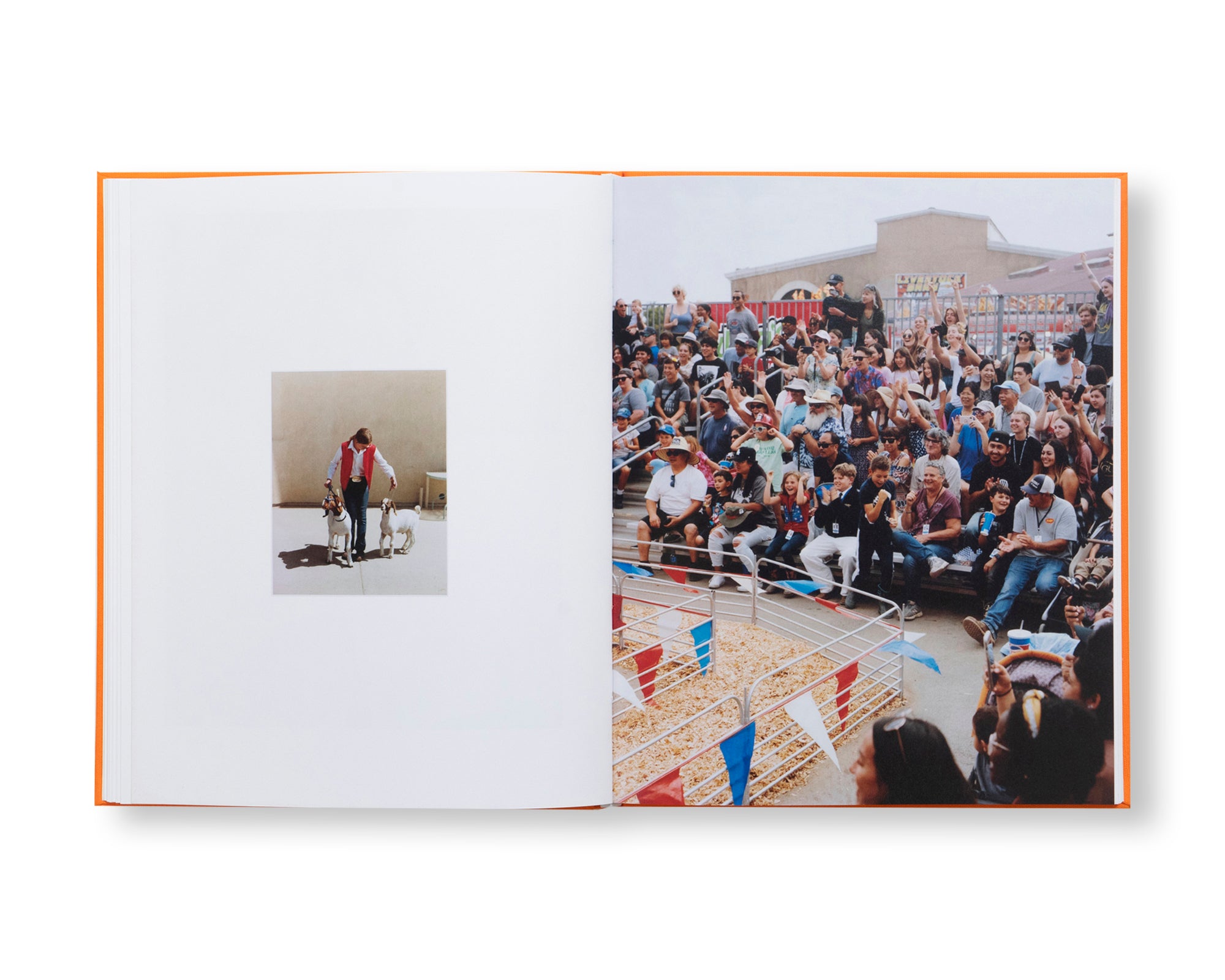 ASSEMBLY by Jack Bool