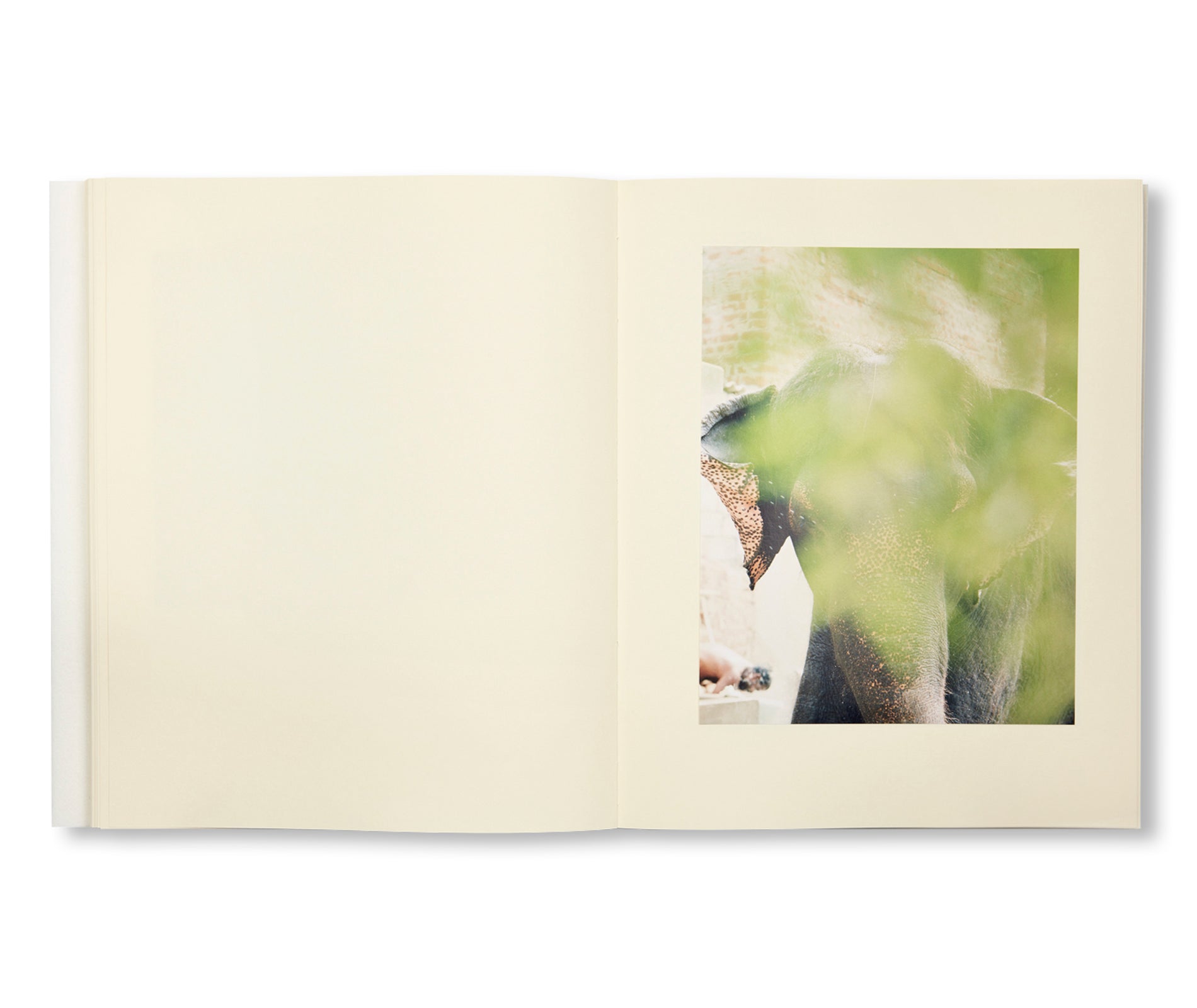 AMMA by Vasantha Yogananthan