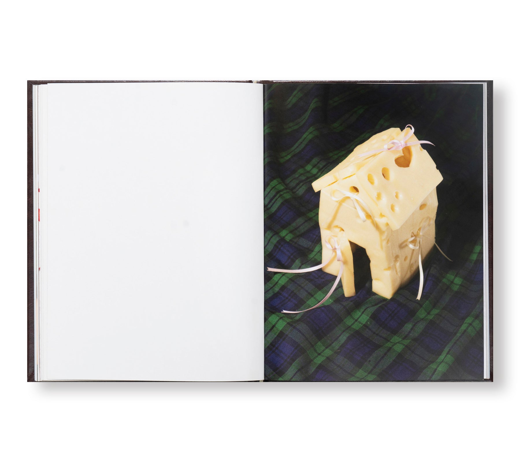 A MOUSE IN HER HOUSE by Lina Sun Park