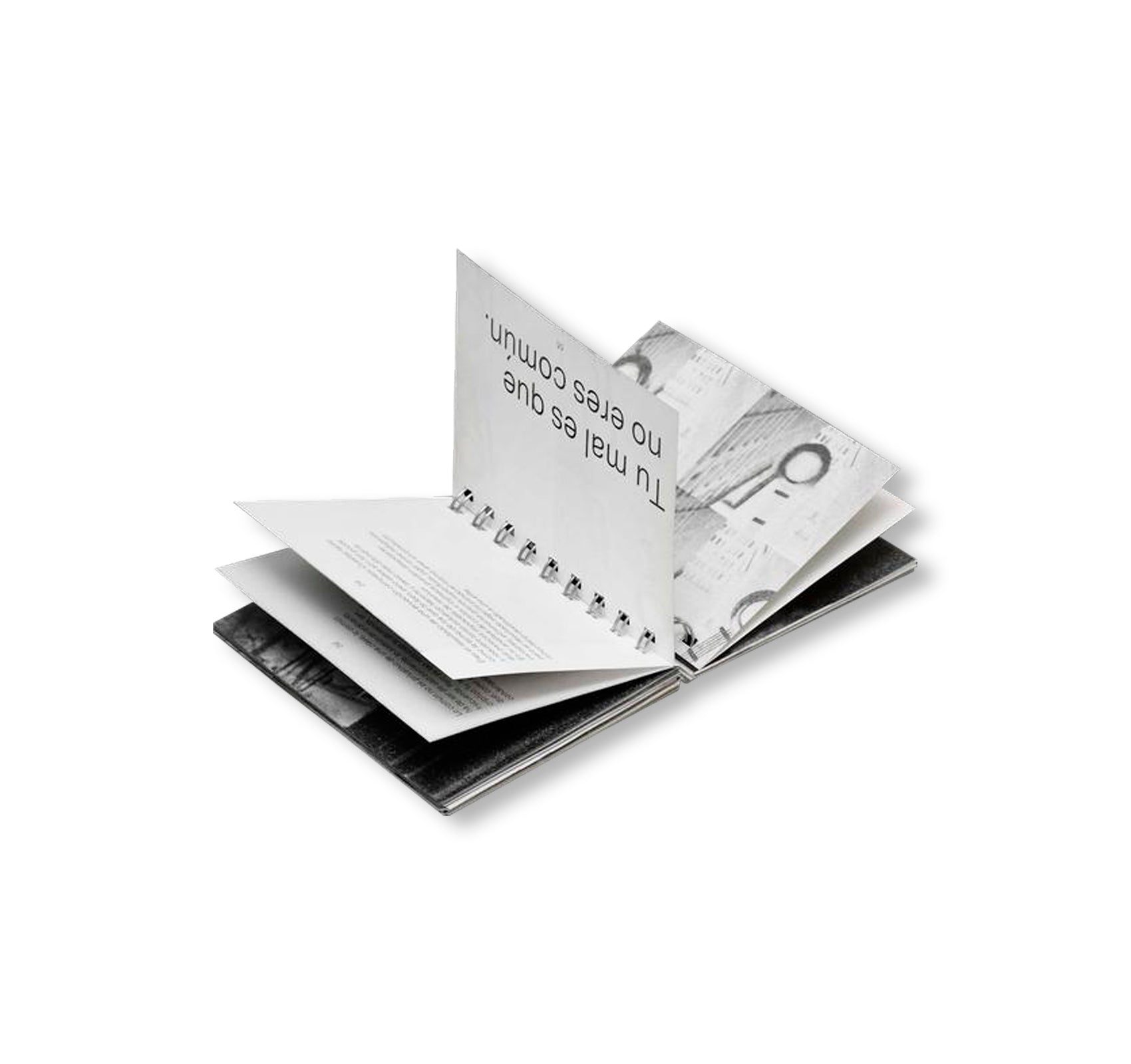 MANIFIESTO ANTITÉTICO by Gonzalo Golpe, Marina Meyer