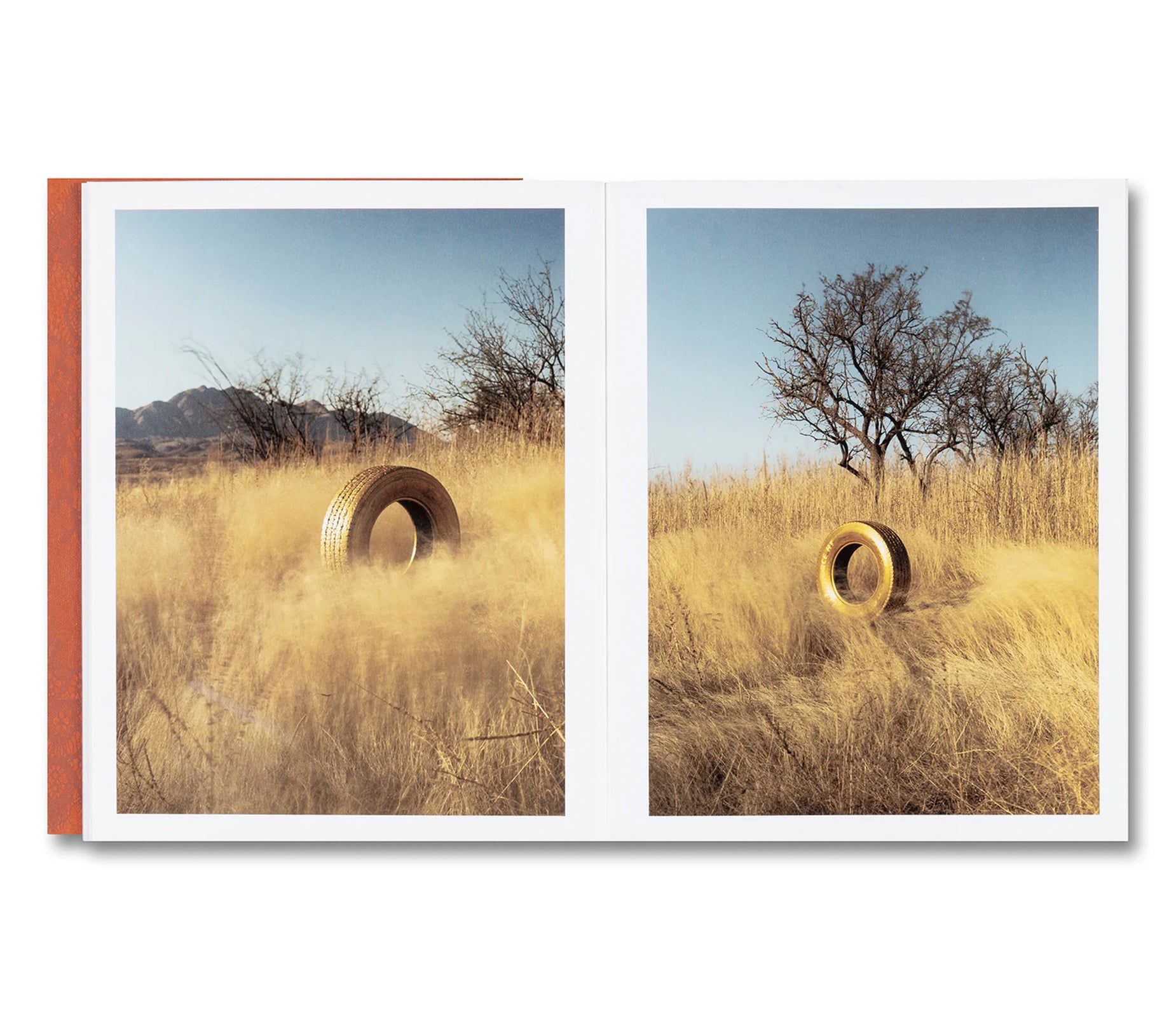 I’LL LET YOU BE IN MY DREAMS IF I CAN BE IN YOURS by Carolyn Drake, Andres Gonzalez