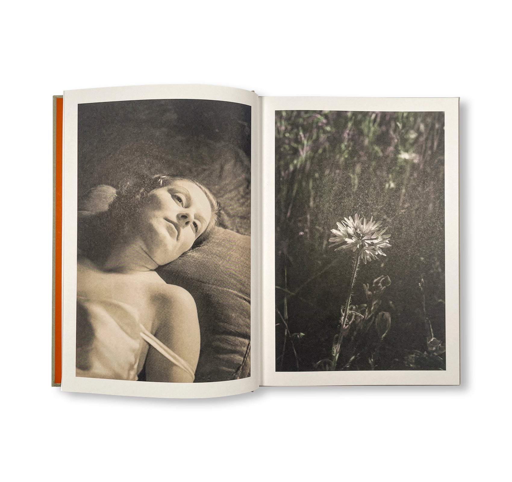 THE LOTTERY by Melissa Catanese