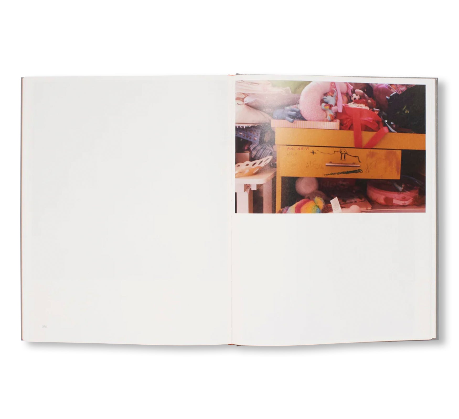 GEOGRAPHY by Zora Sicher