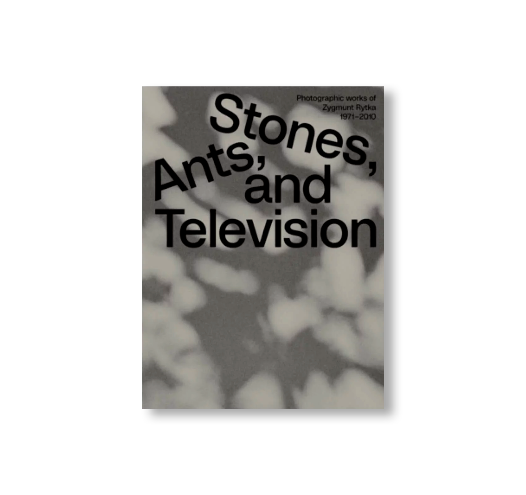 STONES, ANTS, AND TELEVISION - PHOTOGRAPHIC WORKS 1971–2010 by Zygmunt Rytka
