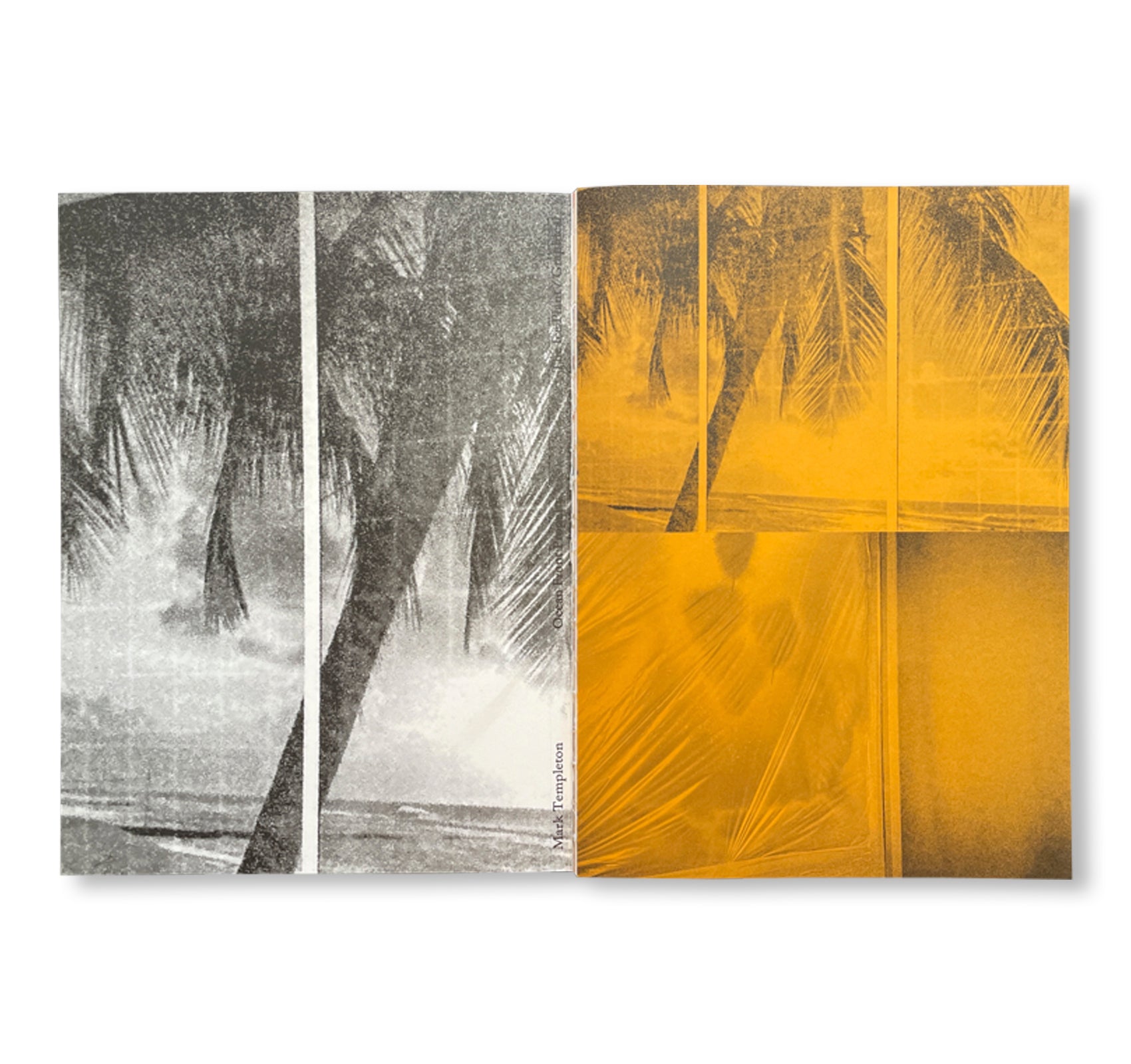 OCEAN FRONT PROPERTY by Mark Templeton