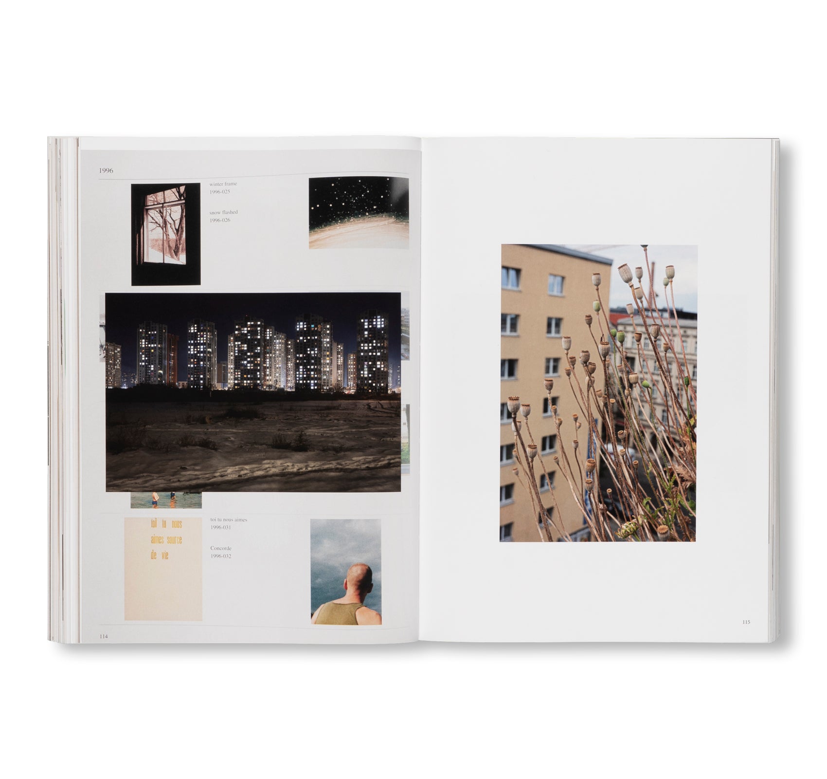 WOLFGANG TILLMANS: THINGS MATTER, DINGE ZÄHLEN by Wolfgang Tillmans