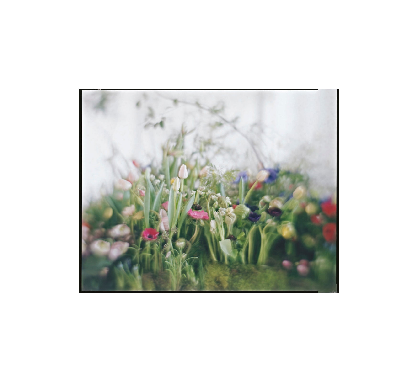 A MAGAZINE CURATED BY LUCIE AND LUKE MEIER