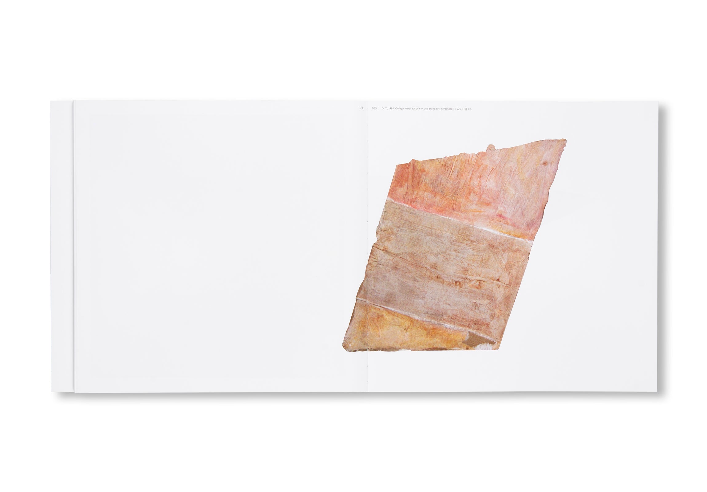 ACHIM FREYER BILDER: EINE MONOGRAFIE 1934-2024 by Achim Freyer