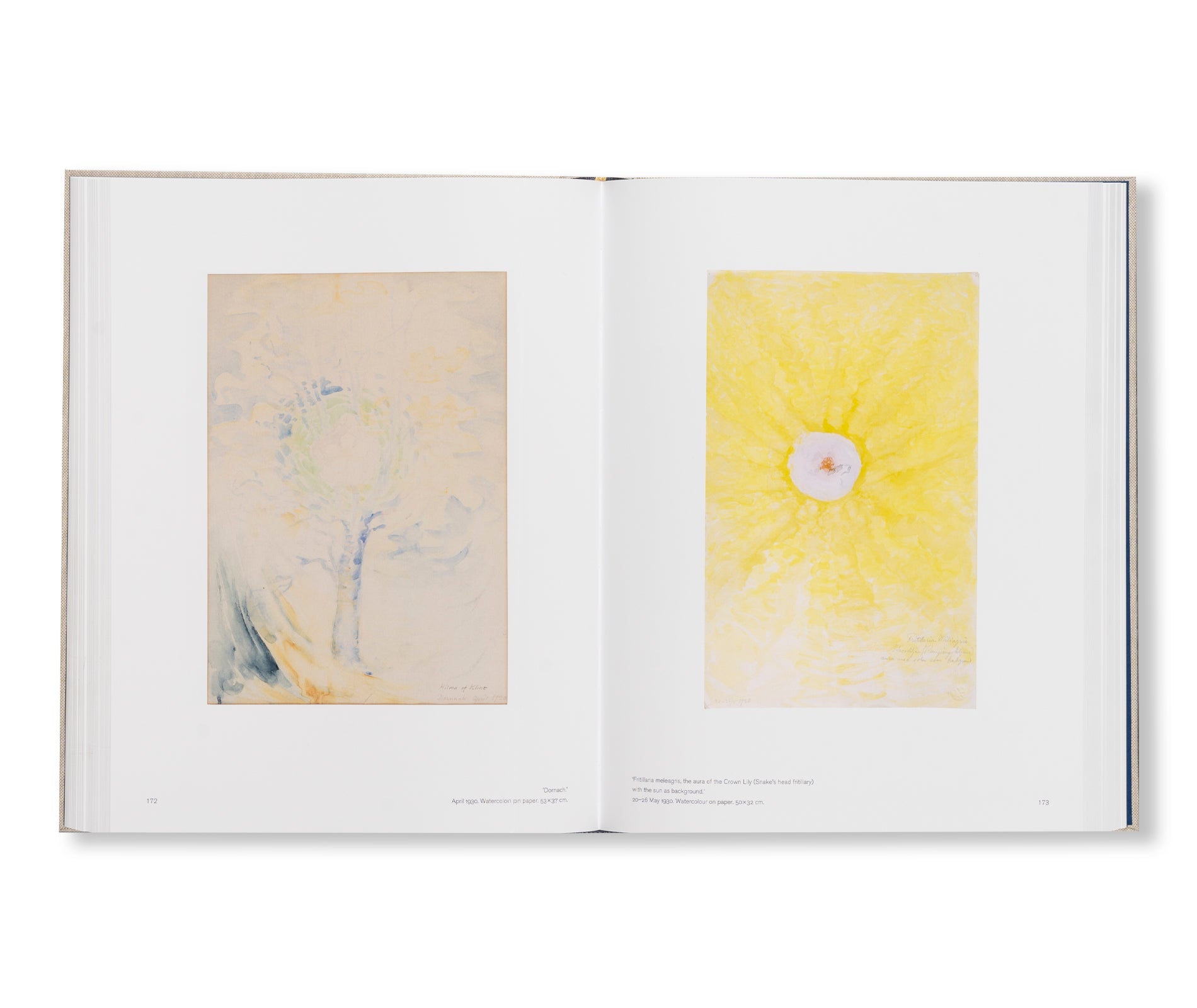 HILMA AF KLINT: LATE WATERCOLOURS 1922–1941: CATALOGUE RAISONNÉ VOLUME VI by Hilma af Klint
