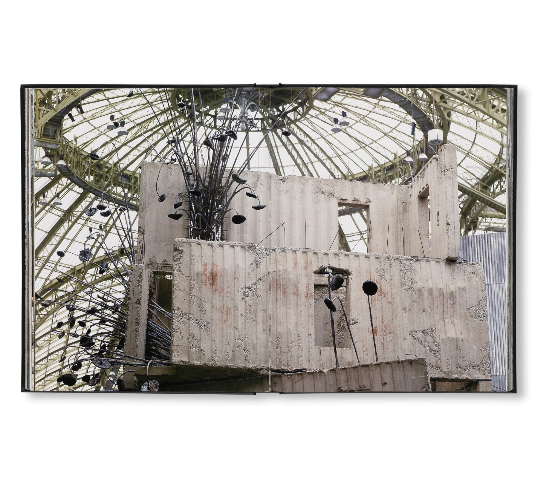 ANSELM KIEFER - STUDIOS by Danièle Cohn
