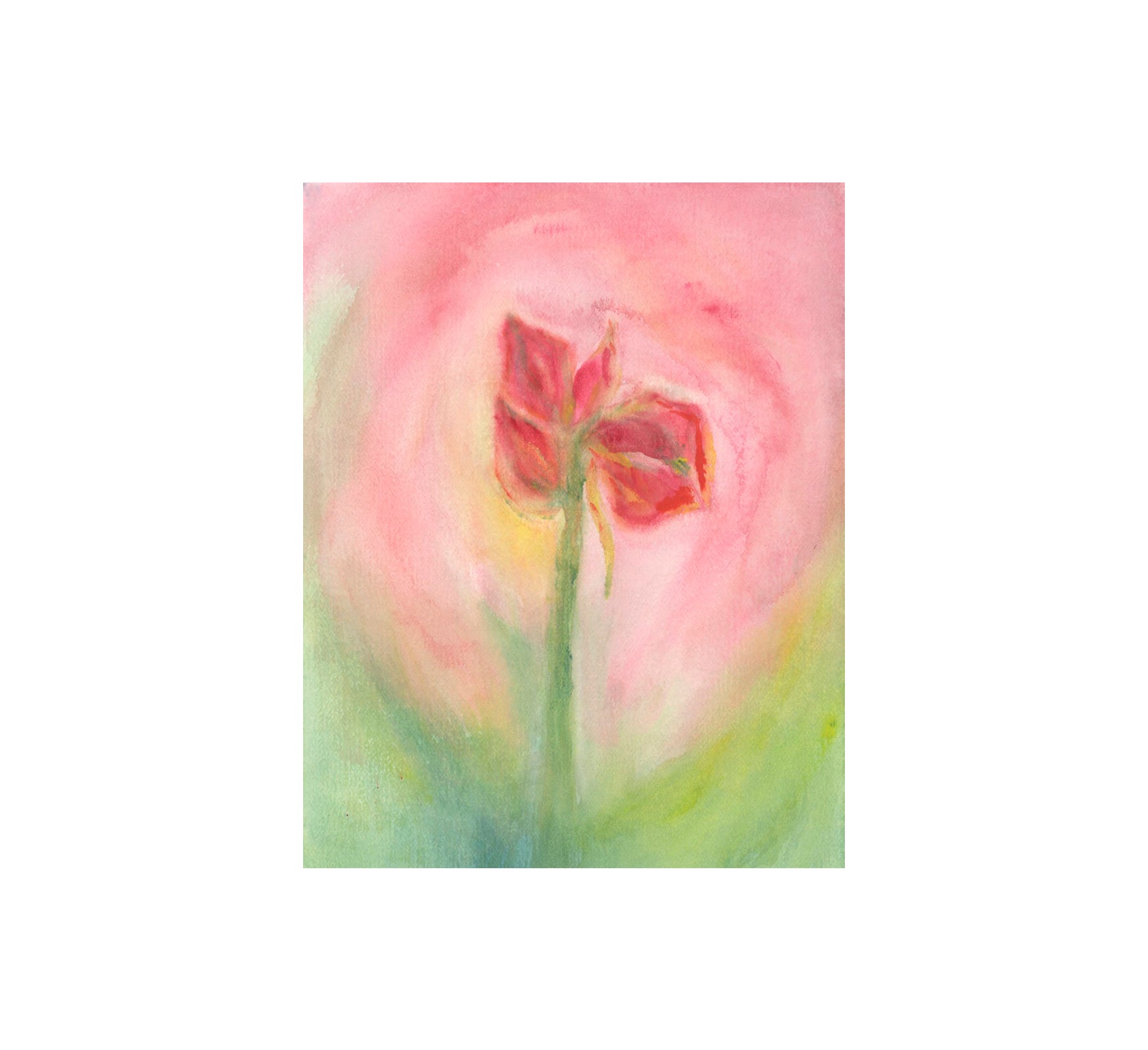 A MAGAZINE CURATED BY LUCIE AND LUKE MEIER